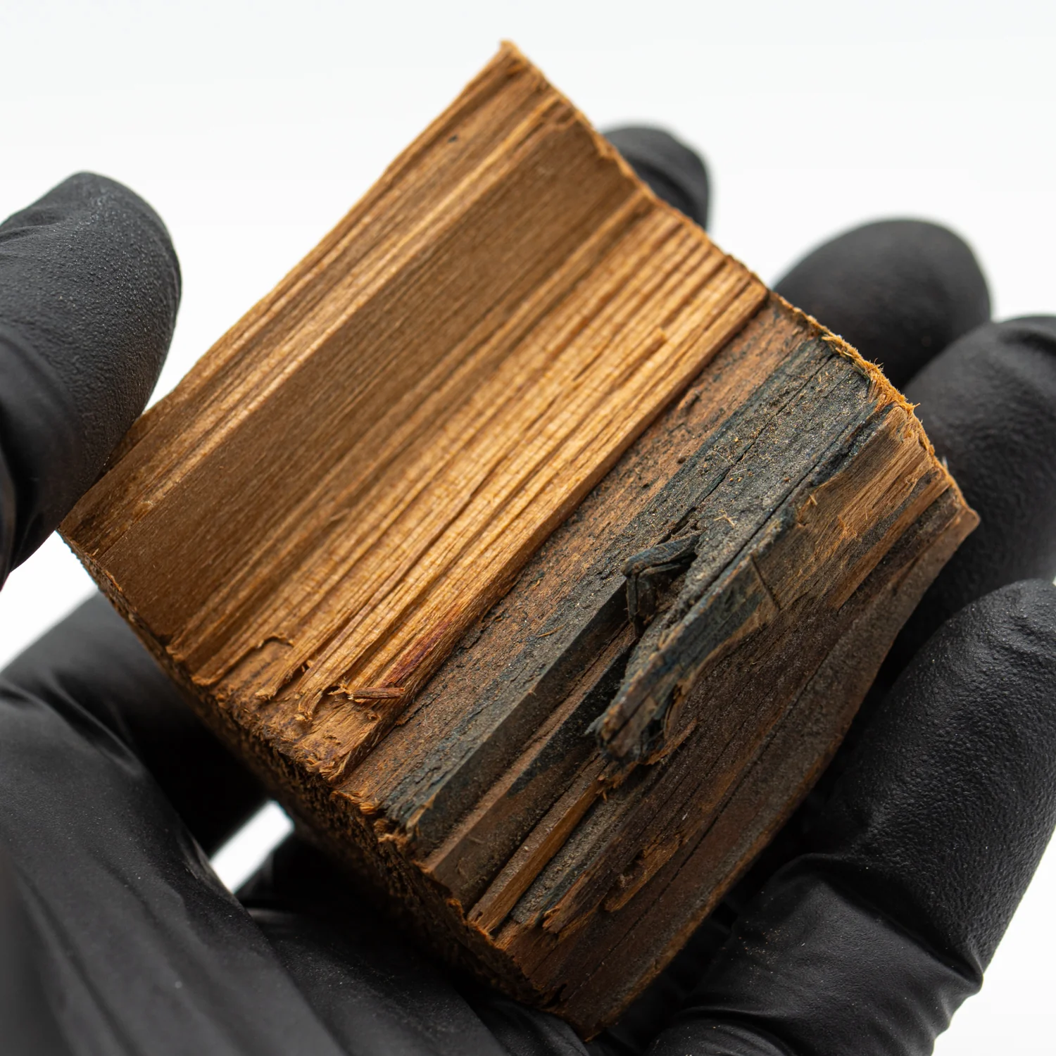 Hollywood Sign - 1.970" Wood Fragment
