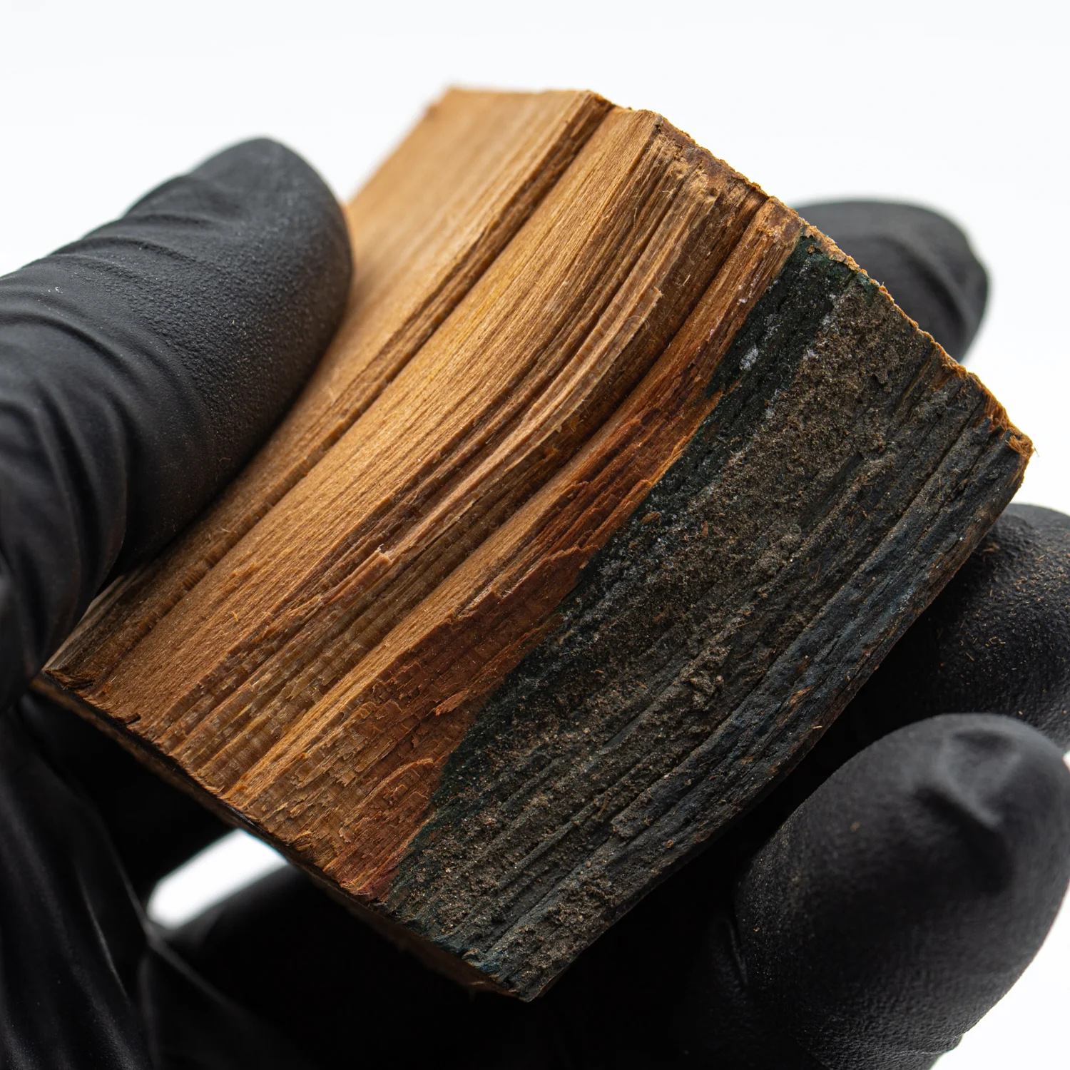 Hollywood Sign - 1.970" Wood Fragment - Image 5