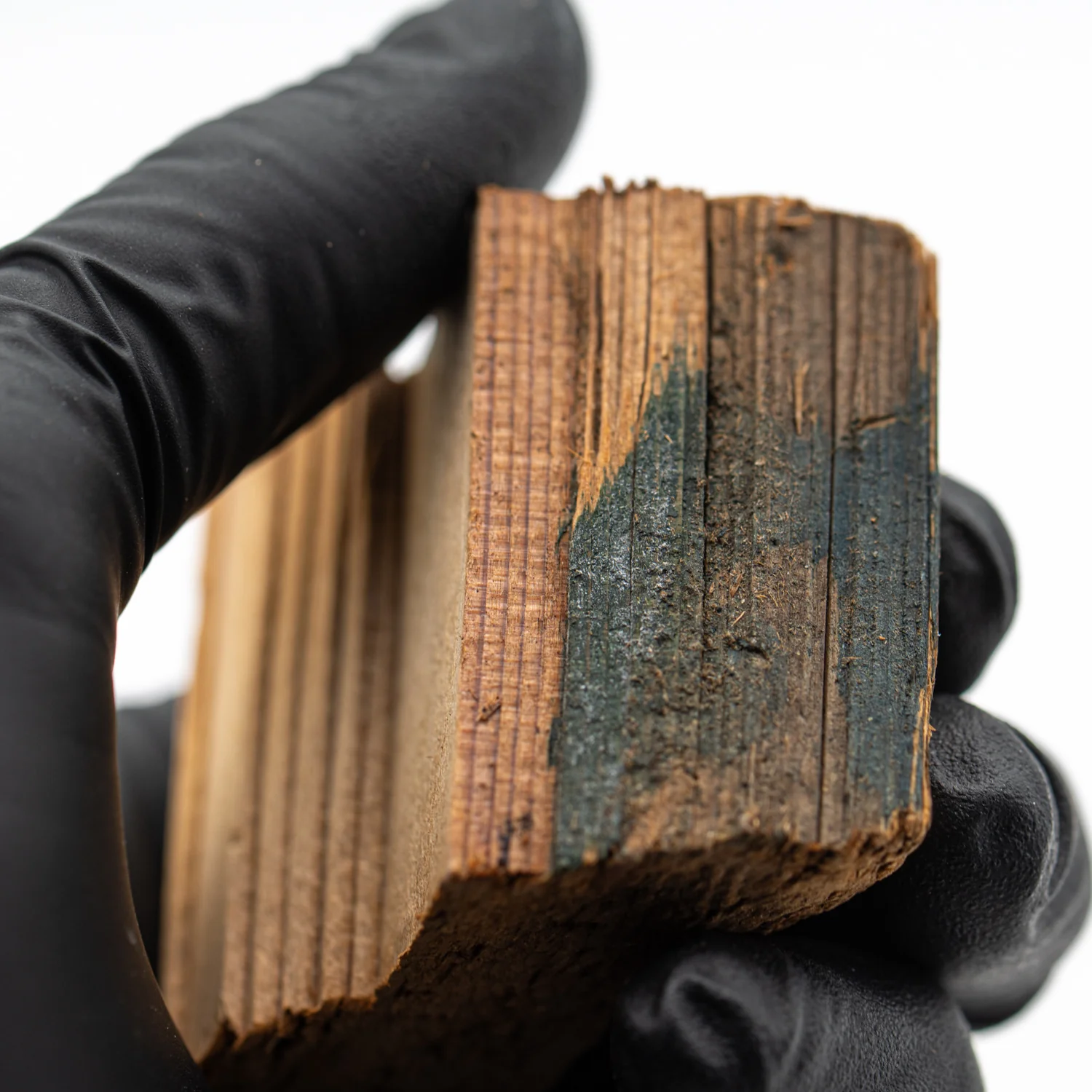 Hollywood Sign - 1.999" Wood Fragment - Image 4