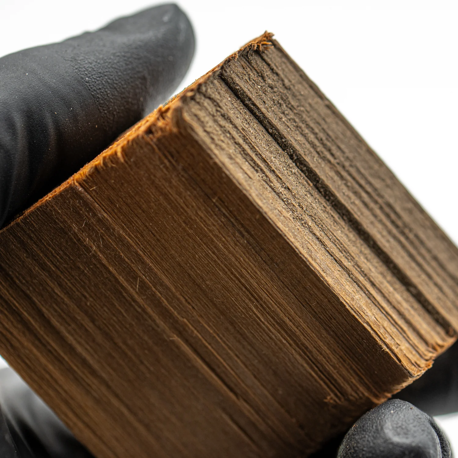 Hollywood Sign - 2.037" Wood Fragment - Image 3