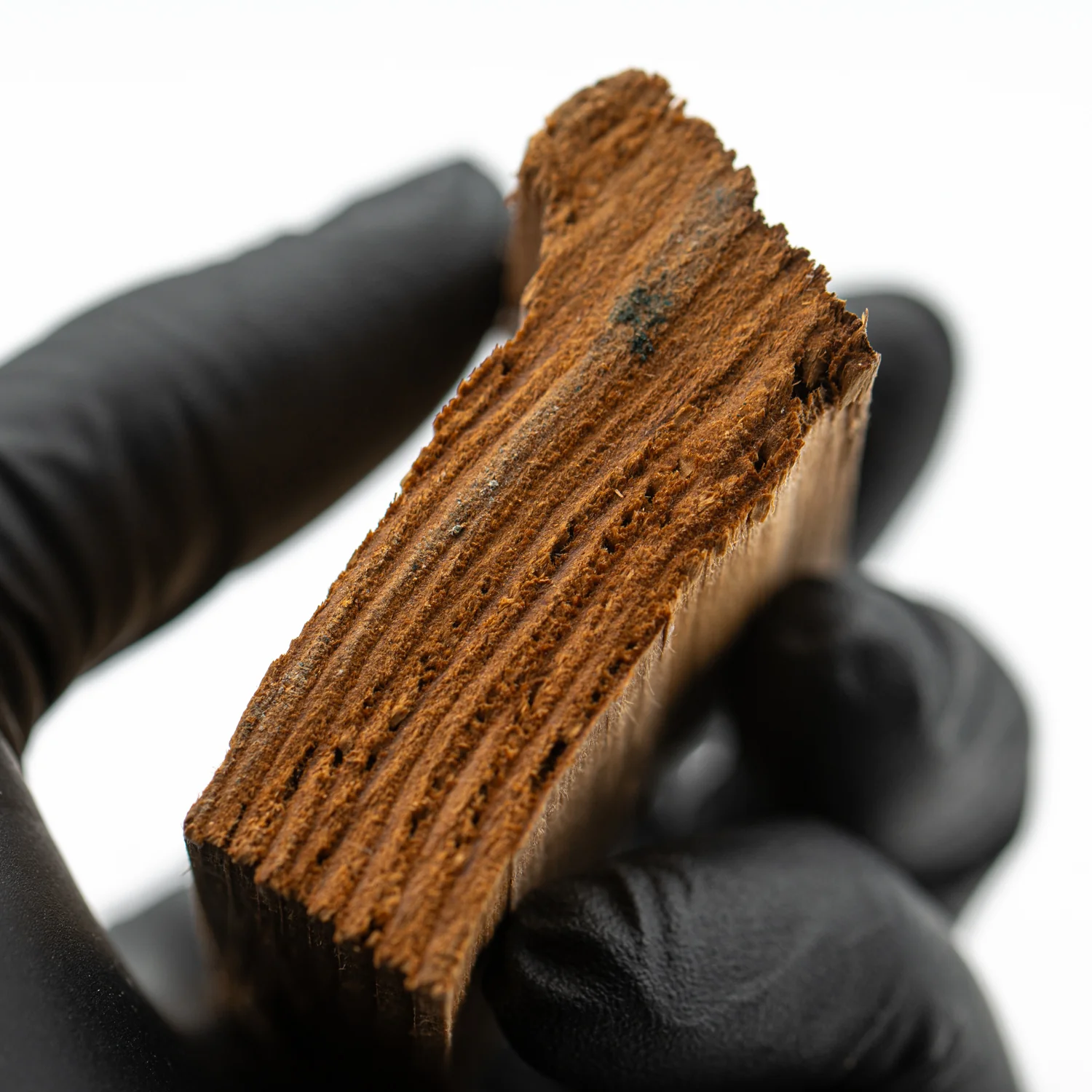 Hollywood Sign - 2.037" Wood Fragment - Image 5