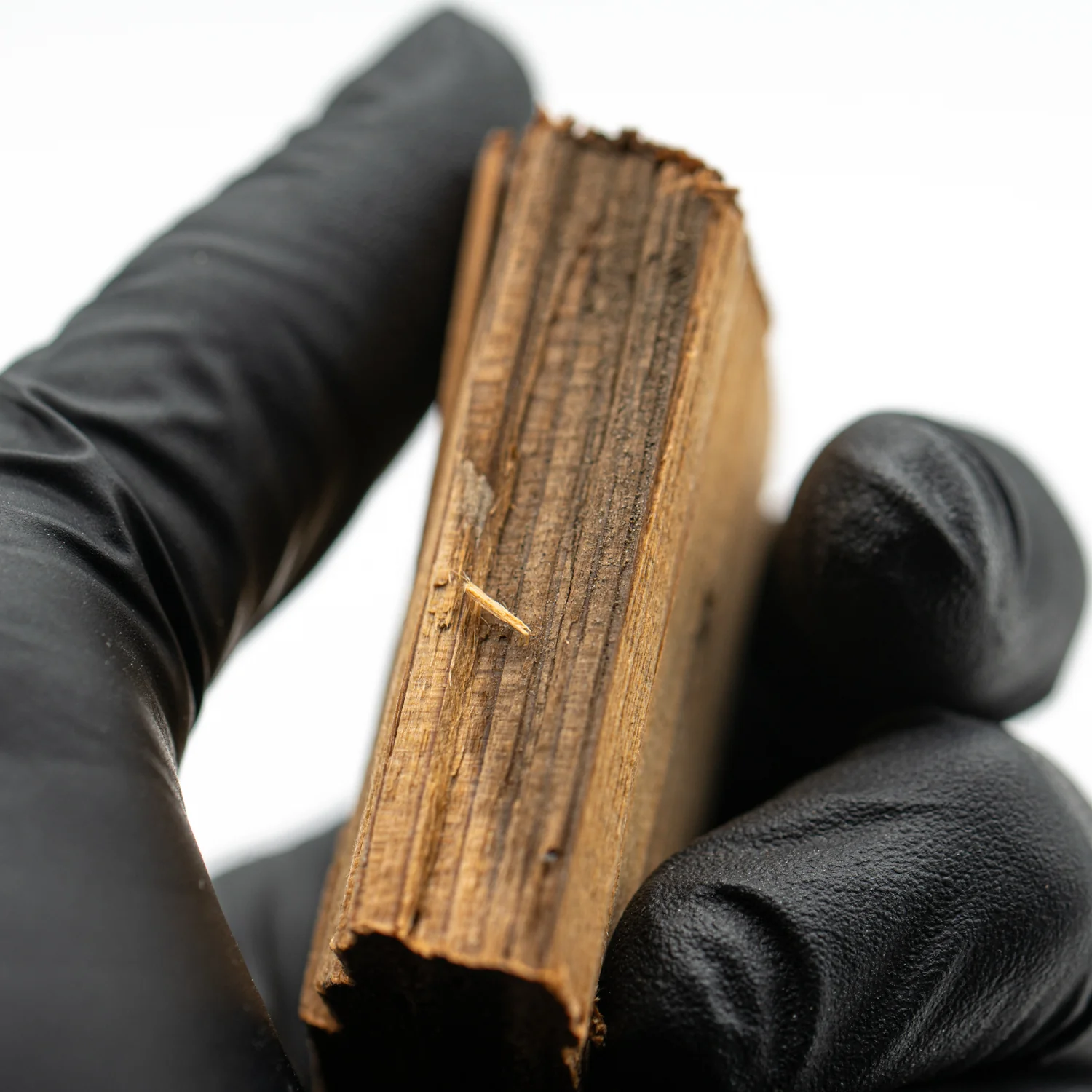 Hollywood Sign - 2.122" Wood Fragment - Image 4