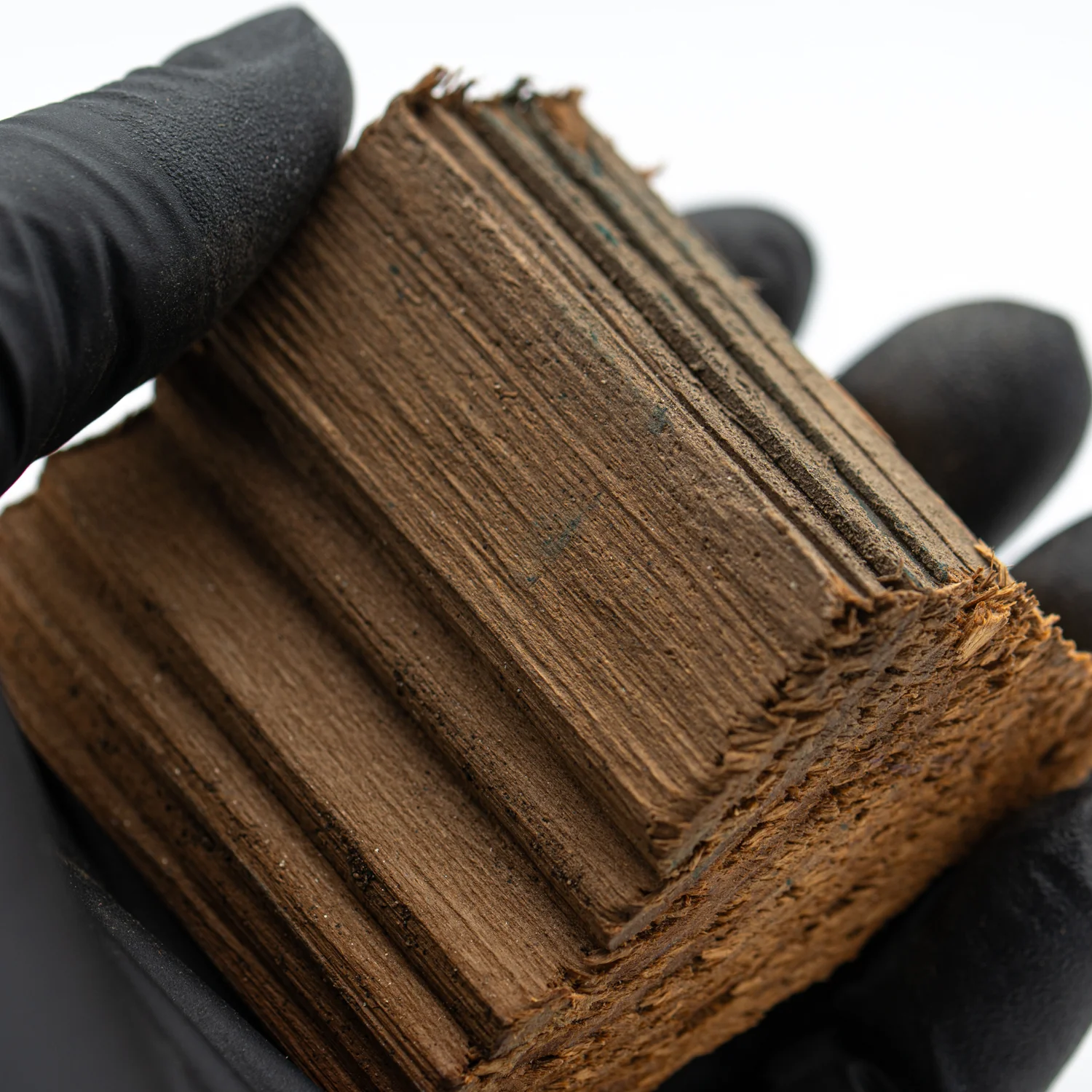Hollywood Sign - 2.234" Wood Fragment - Image 4