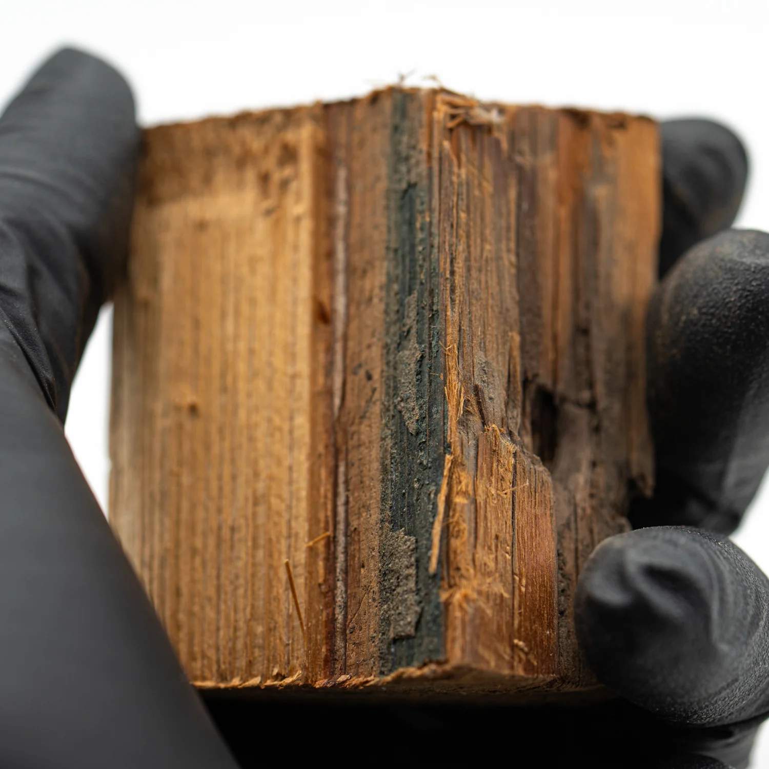 Hollywood Sign - 2.276" Wood Fragment