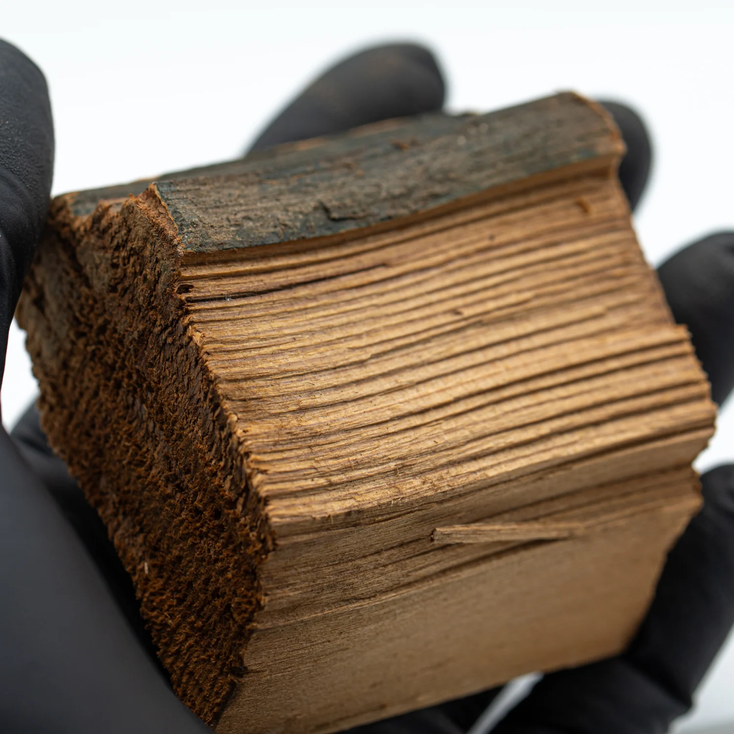 Hollywood Sign - 2.385" Wood Fragment - Image 2