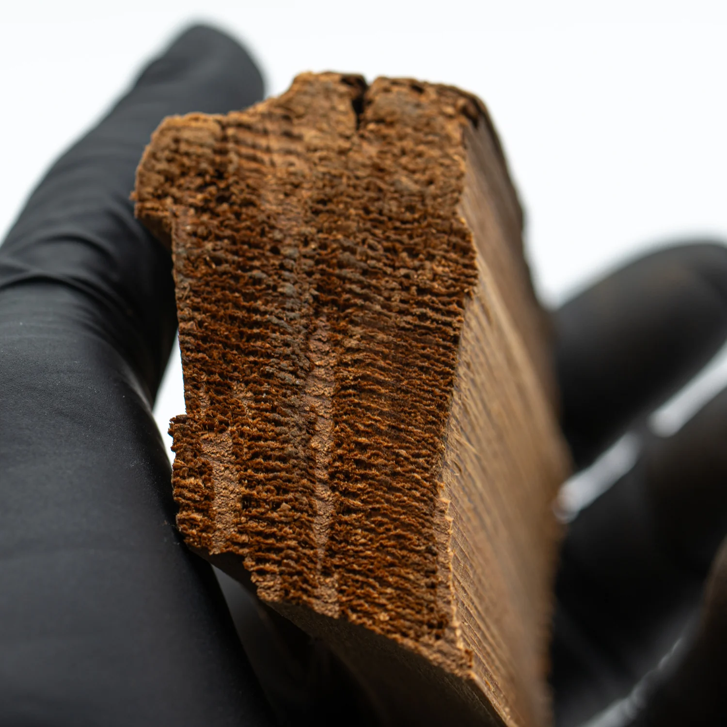 Hollywood Sign - 2.385" Wood Fragment - Image 4