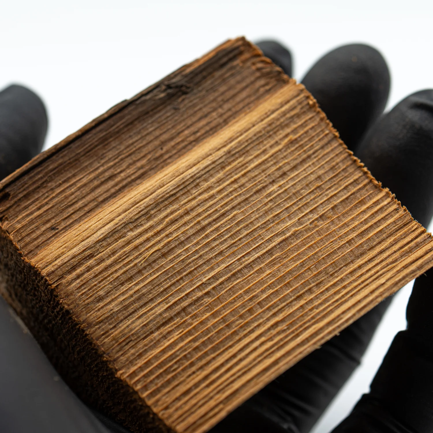 Hollywood Sign - 2.385" Wood Fragment - Image 5