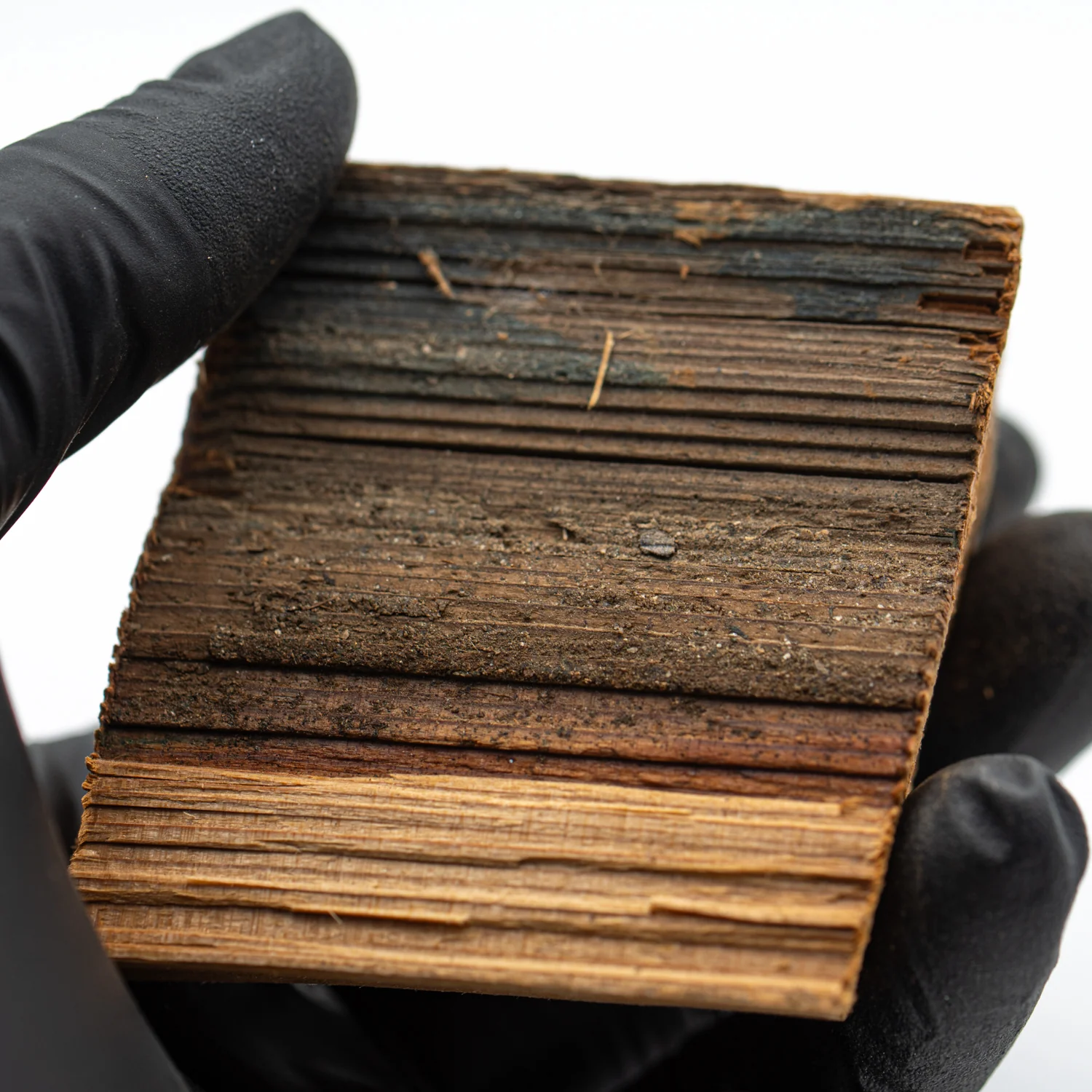 Hollywood Sign - 2.668" Wood Fragment