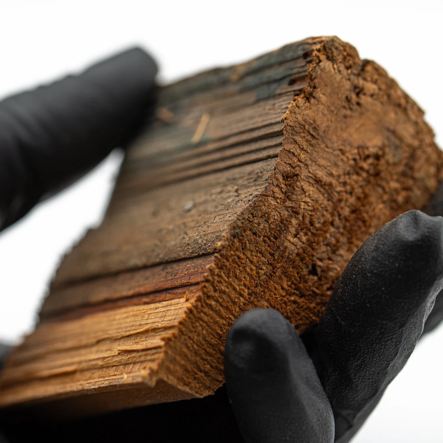 Hollywood Sign - 2.668" Wood Fragment - Image 4