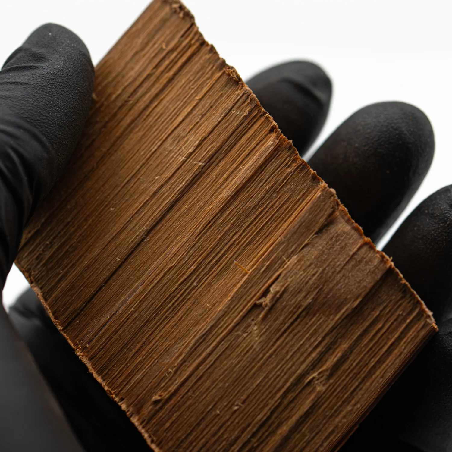 Hollywood Sign - 2.775" Wood Fragment - Image 3