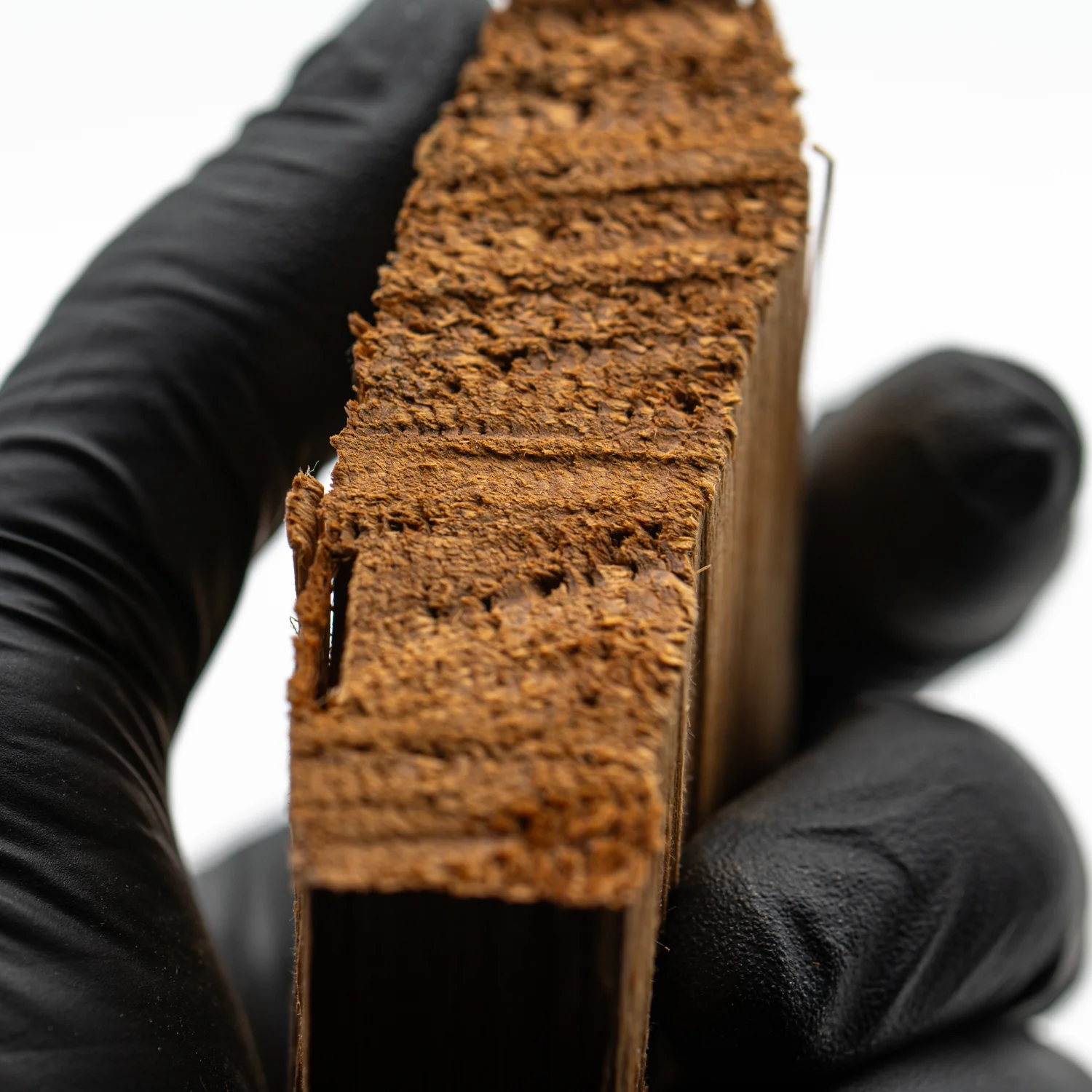 Hollywood Sign - 2.775" Wood Fragment - Image 4