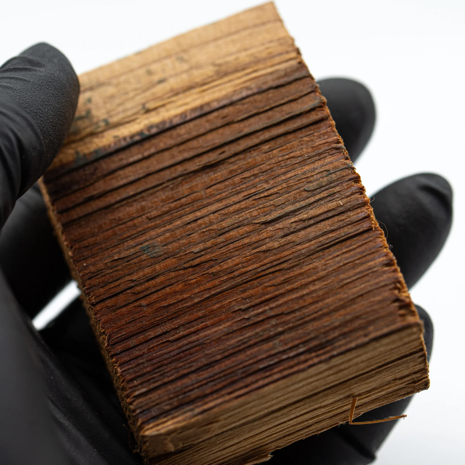 Hollywood Sign - 2.797" Wood Fragment - Image 4