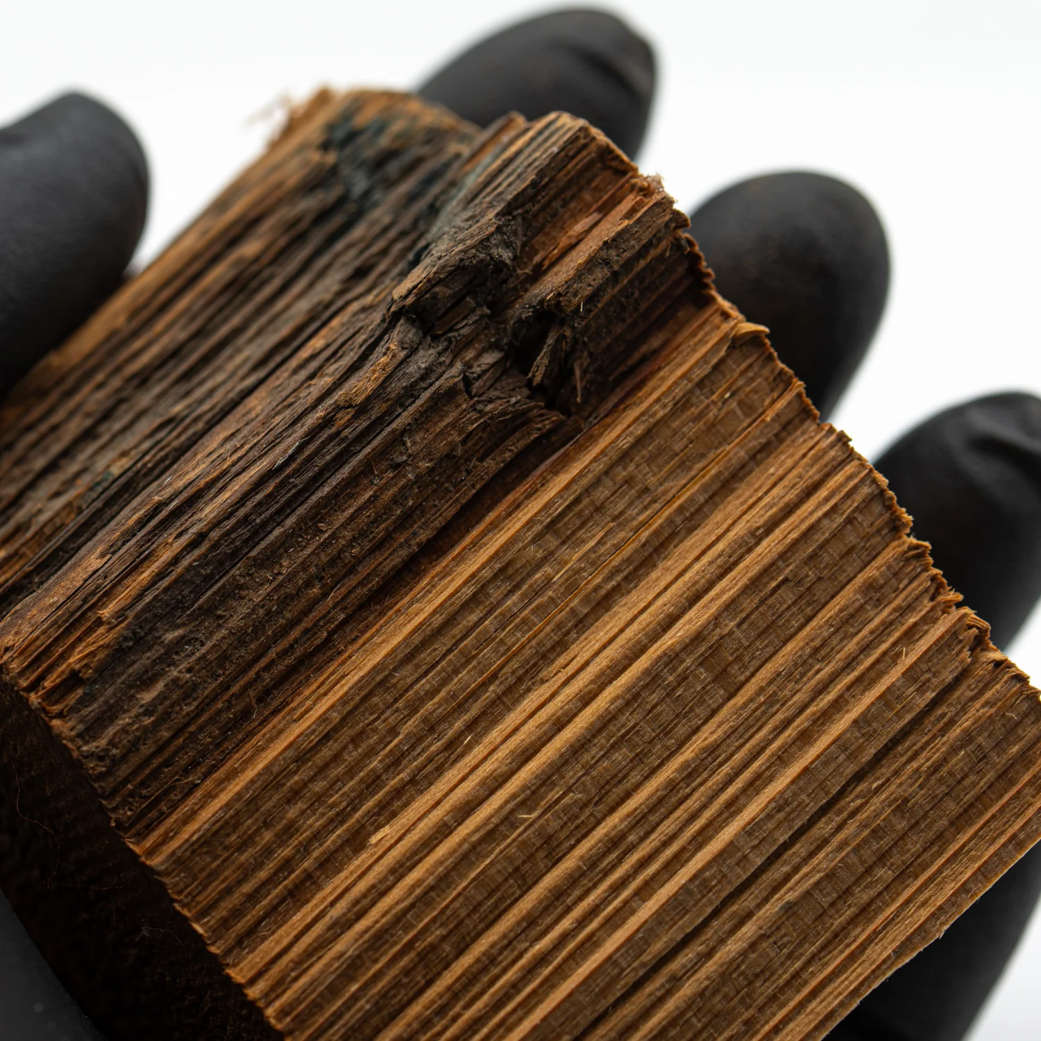 Hollywood Sign - 2.832" Wood Fragment - Image 3