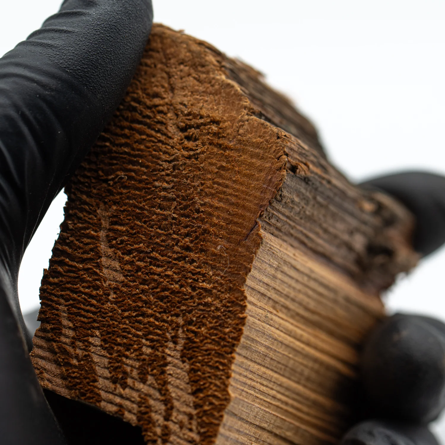 Hollywood Sign - 2.832" Wood Fragment - Image 5