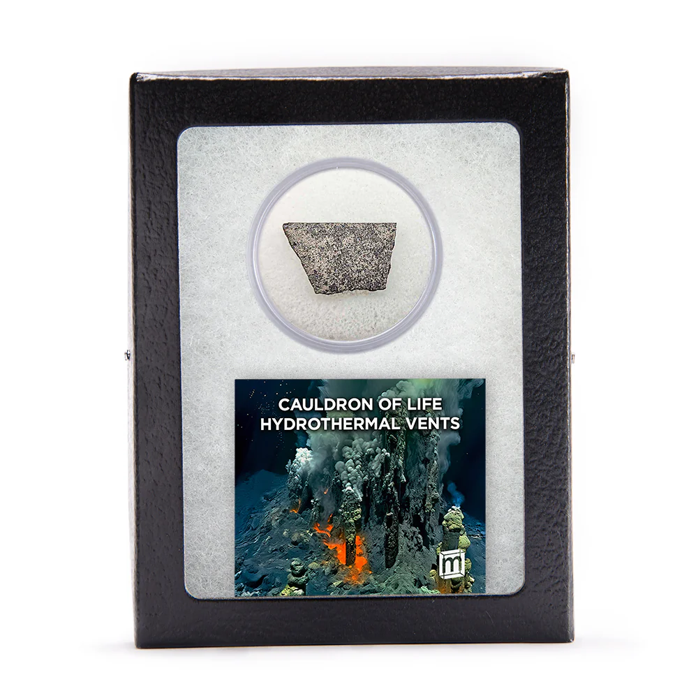 Hydrothermal Vents - Cauldron of Life - Image 10