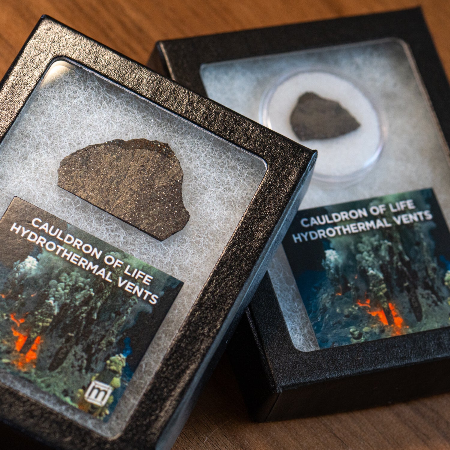 Hydrothermal Vents - Cauldron of Life - Image 2