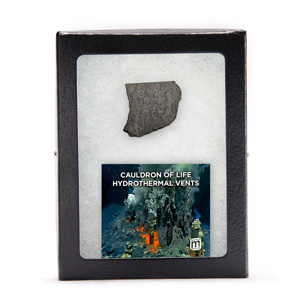 Hydrothermal Vents - Cauldron of Life - Image 9