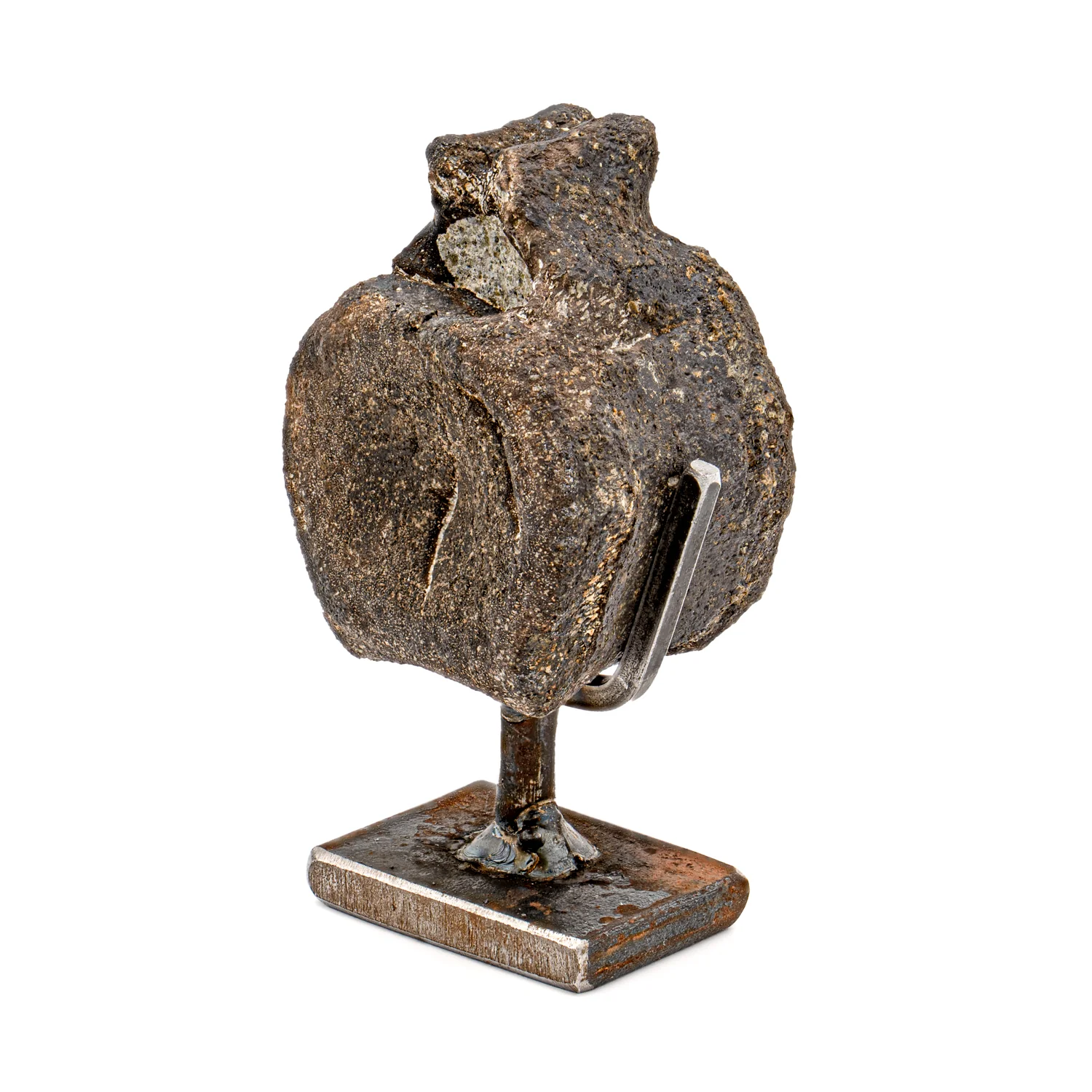 Hypacrosaurus Vertebra - SOLD 1.71" Fossil with Stand - Image 4