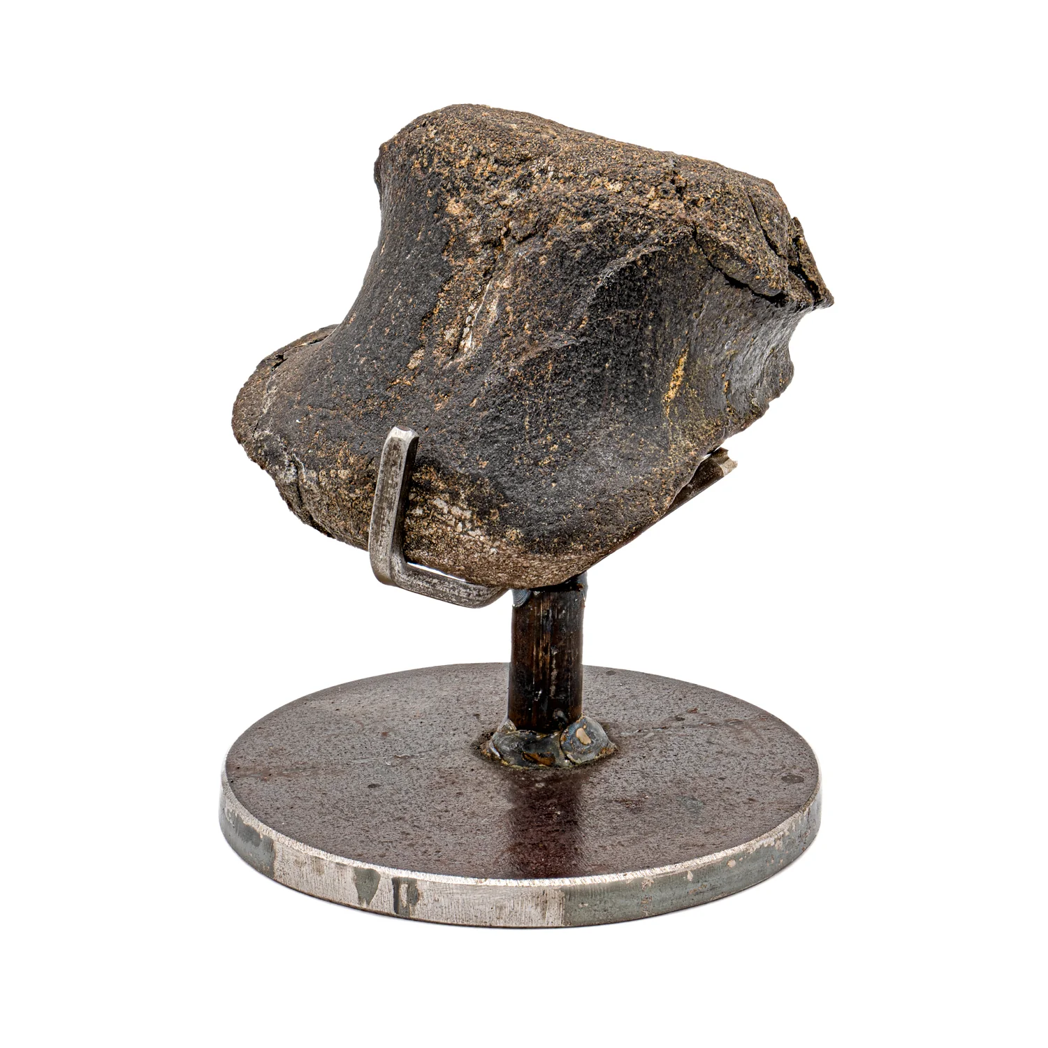 Hypacrosaurus Vertebra - SOLD 2.08" Fossil with Stand - Image 2