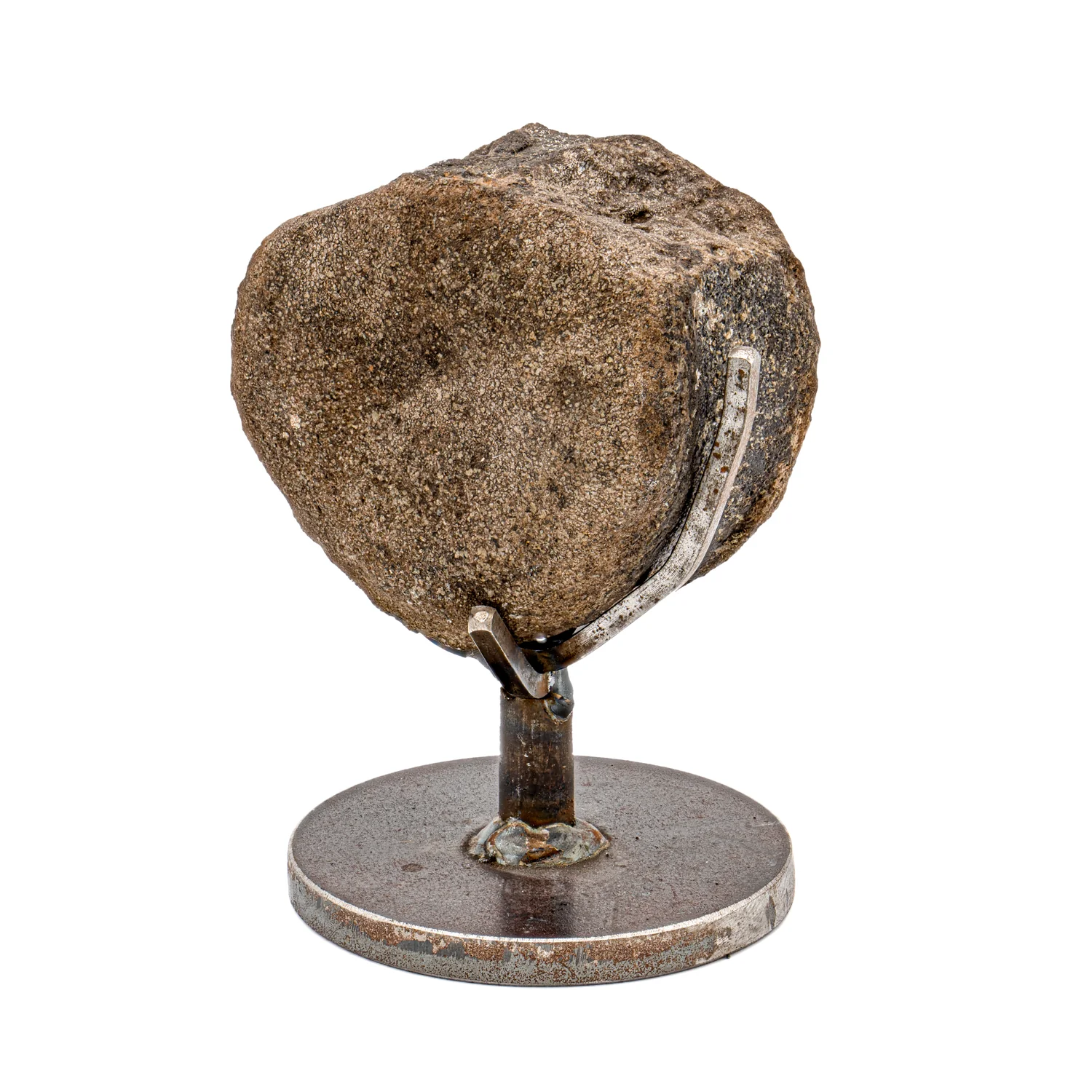 Hypacrosaurus Vertebra - SOLD 2.46" Fossil with Stand - Image 2