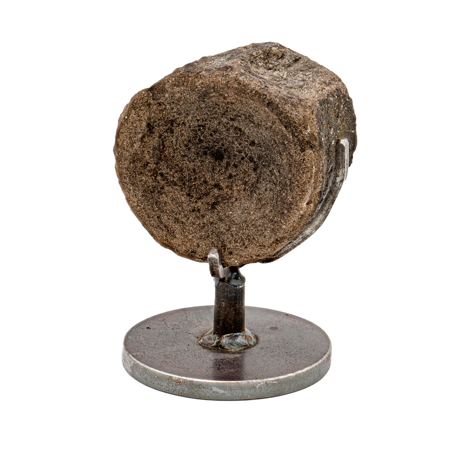 Hypacrosaurus Vertebra - SOLD 2.46" Fossil with Stand - Image 3