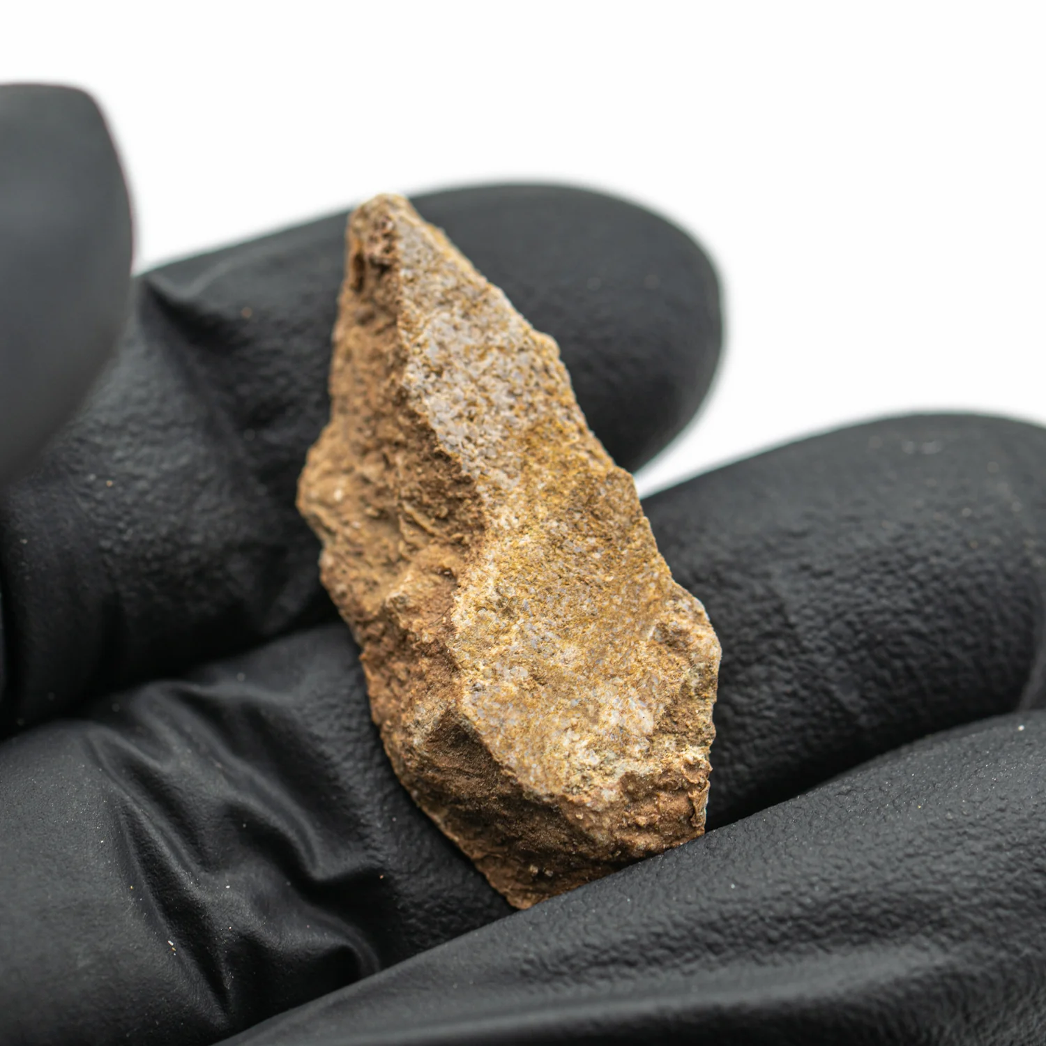Iguanodon Bone 1.287" Cross-Section - Image 3
