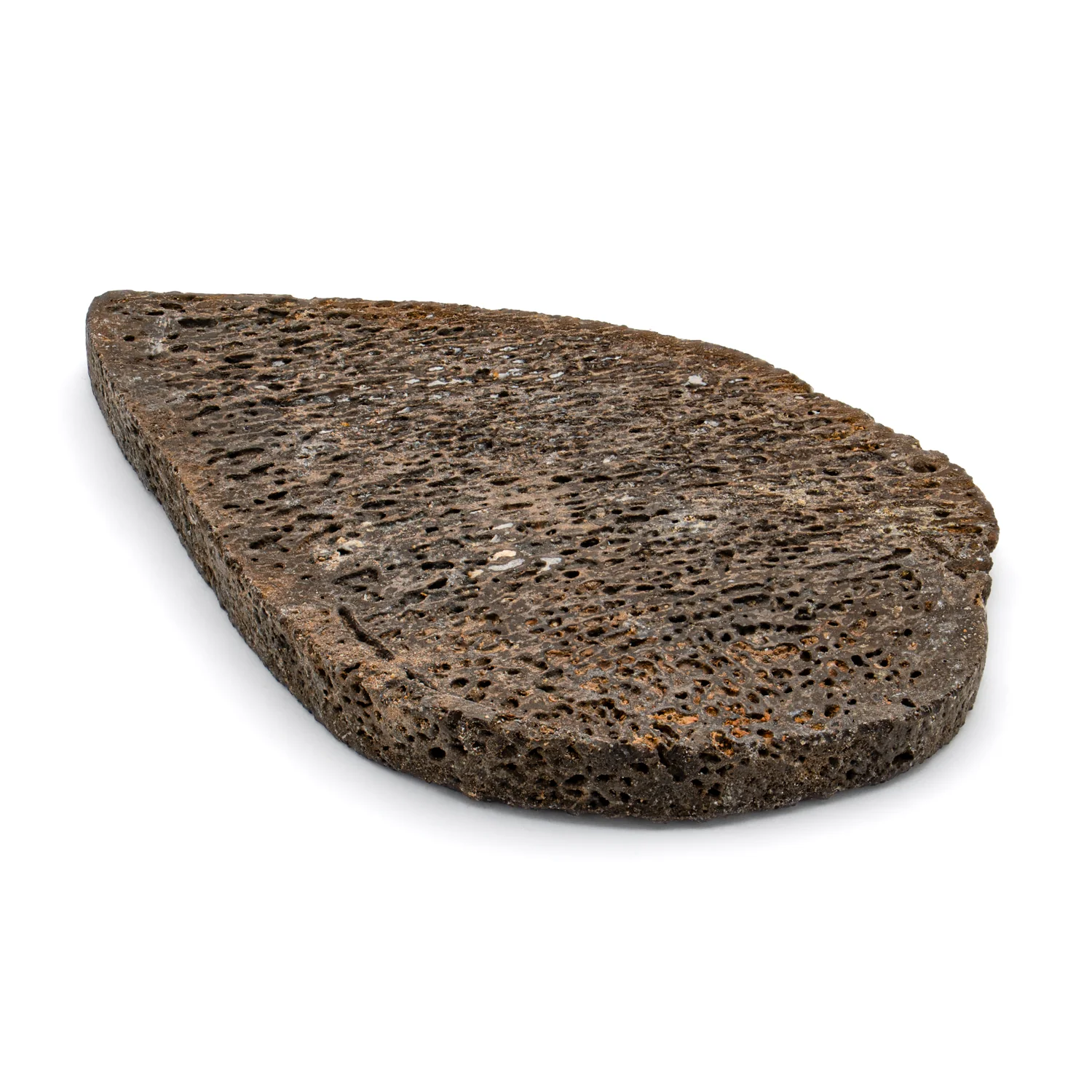Iguanodon Bone 1.998" Cross-Section - Image 3
