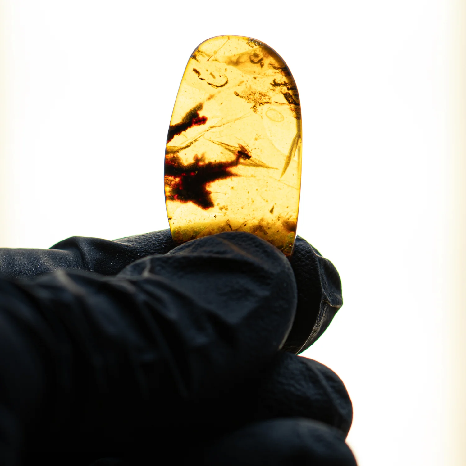 Insect in Amber - Cretaceous Burmite - Image 3
