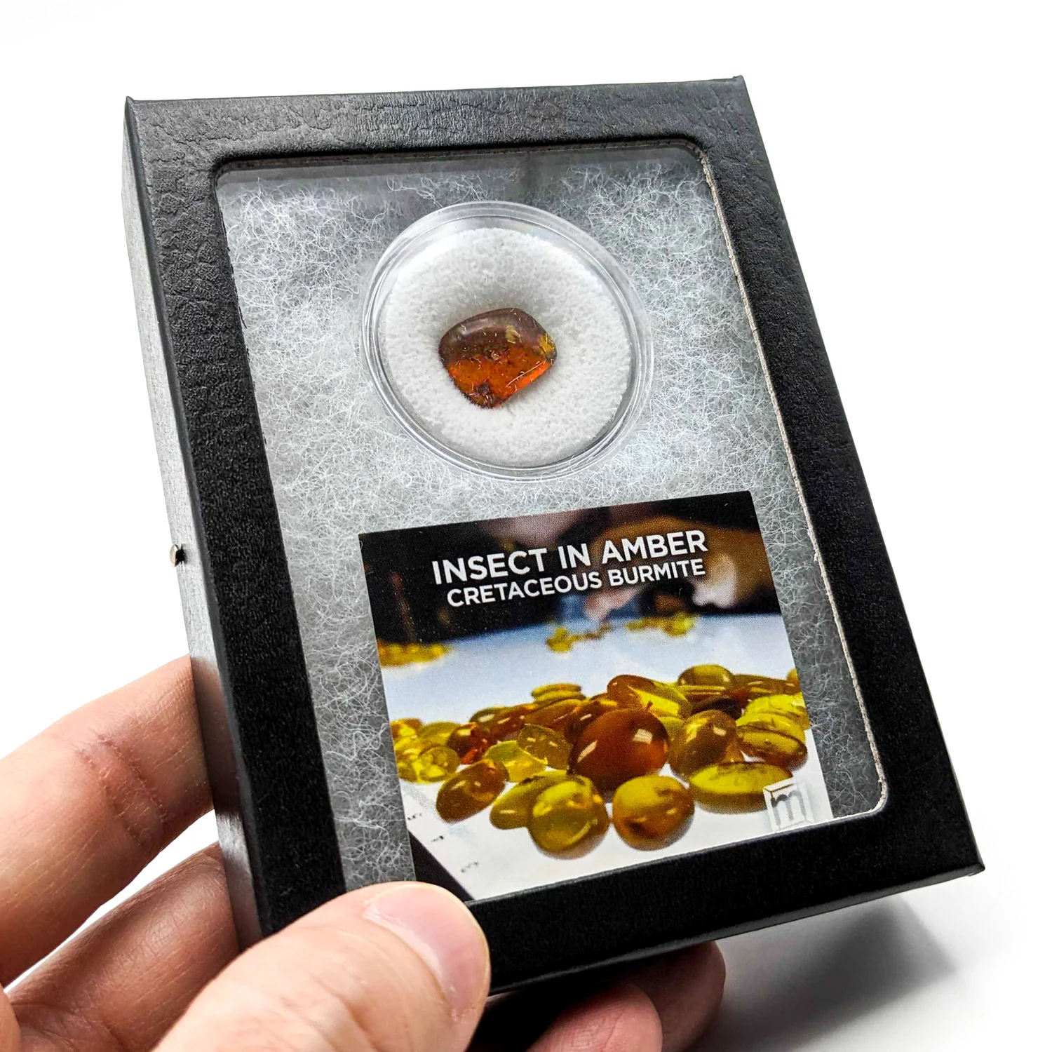 Insect in Amber - Cretaceous Burmite - Image 4