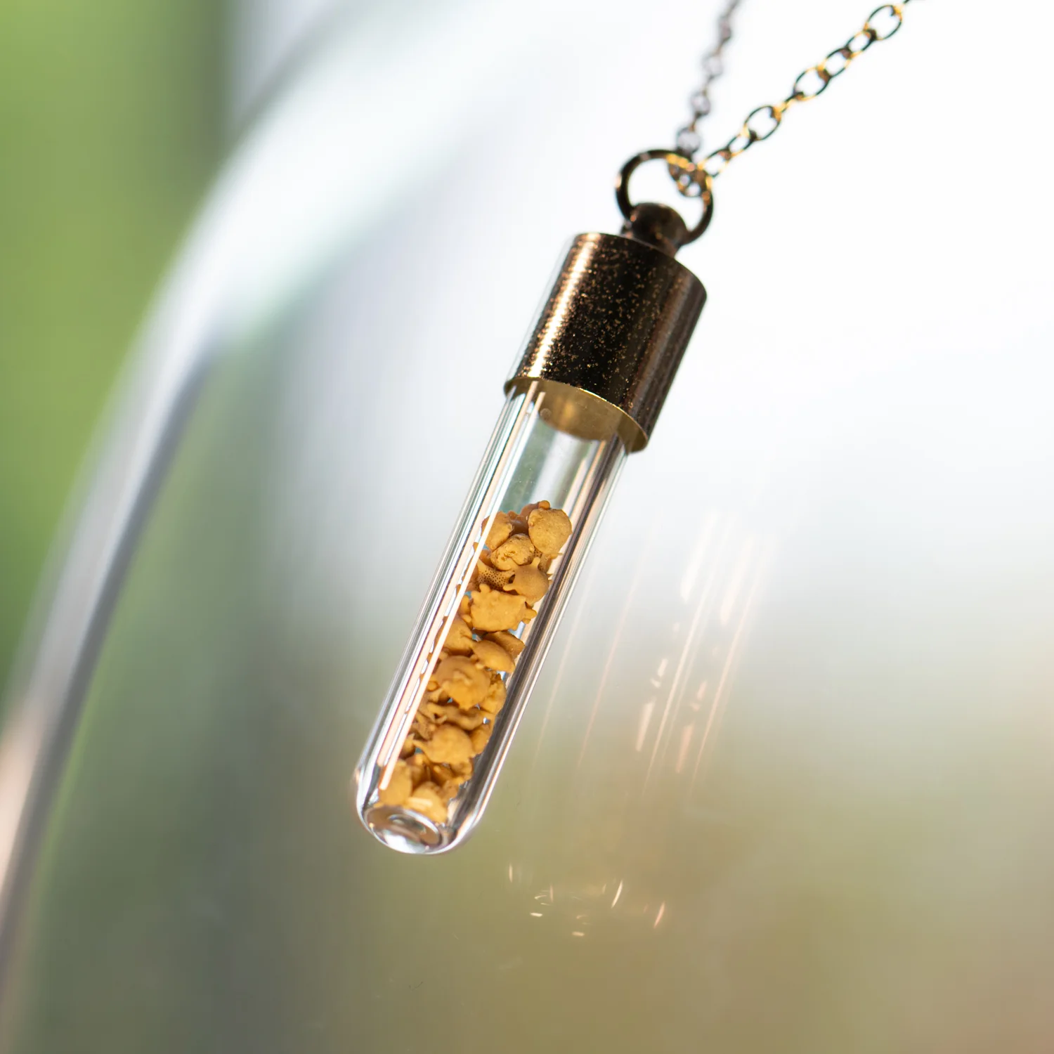 Japanese Star Sand Vial Necklace - Image 11