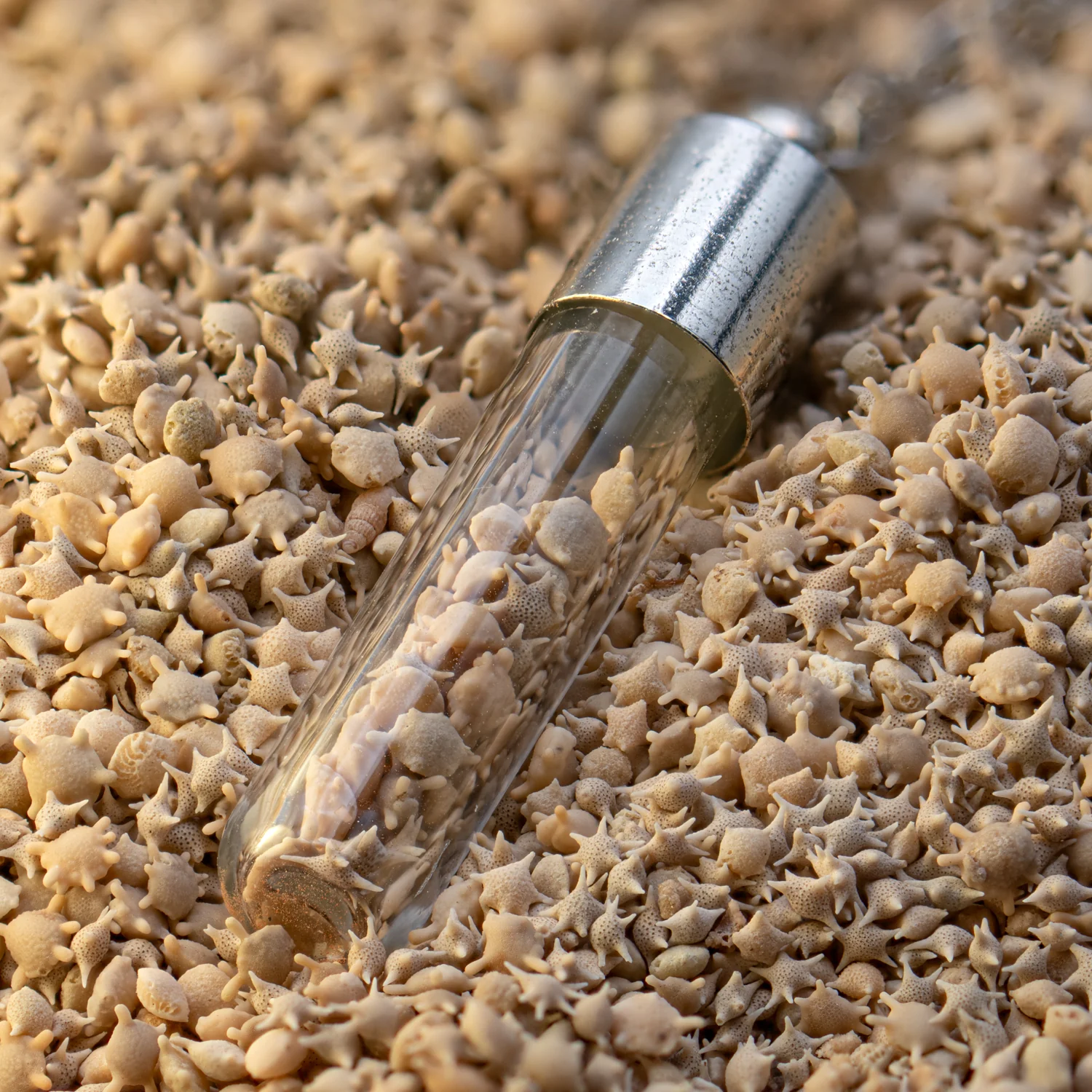 Japanese Star Sand Vial Necklace - Image 13