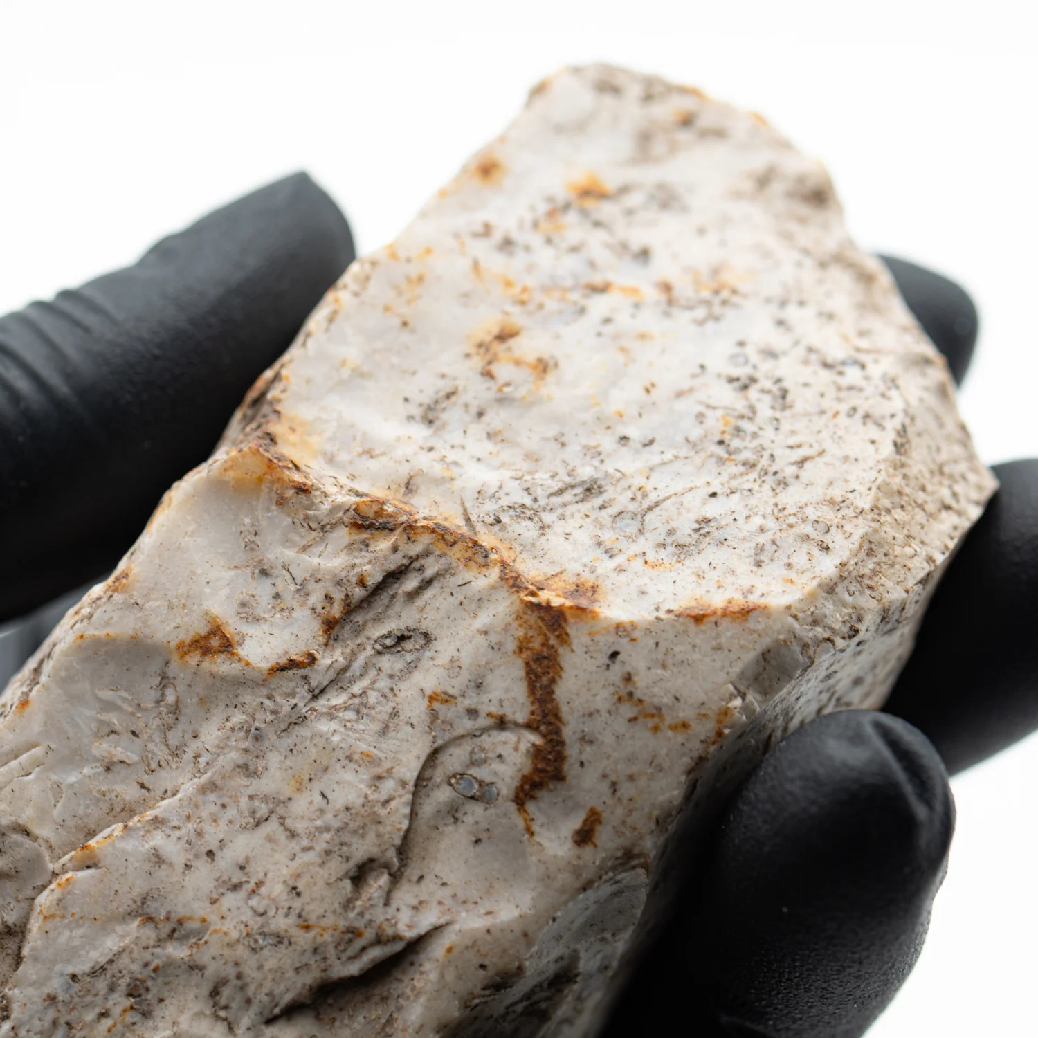 Jutland Neolithic Stone Tool - 3.58" Denmark - Image 4
