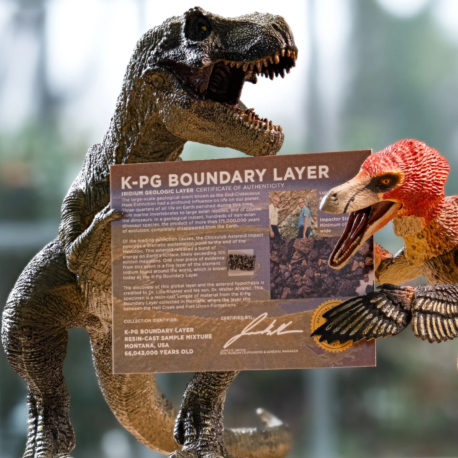 K-Pg Boundary Layer - Death of the Dinosaurs - Display Card - Image 2