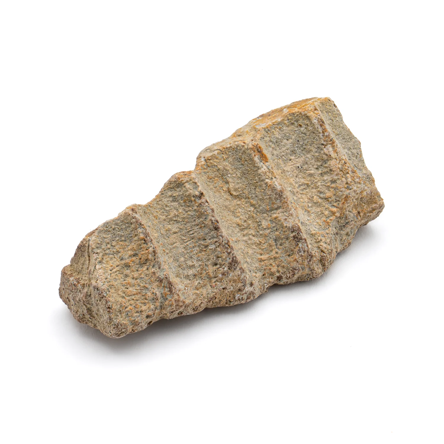 Kritosaurus Bone - 1.325" - Image 3