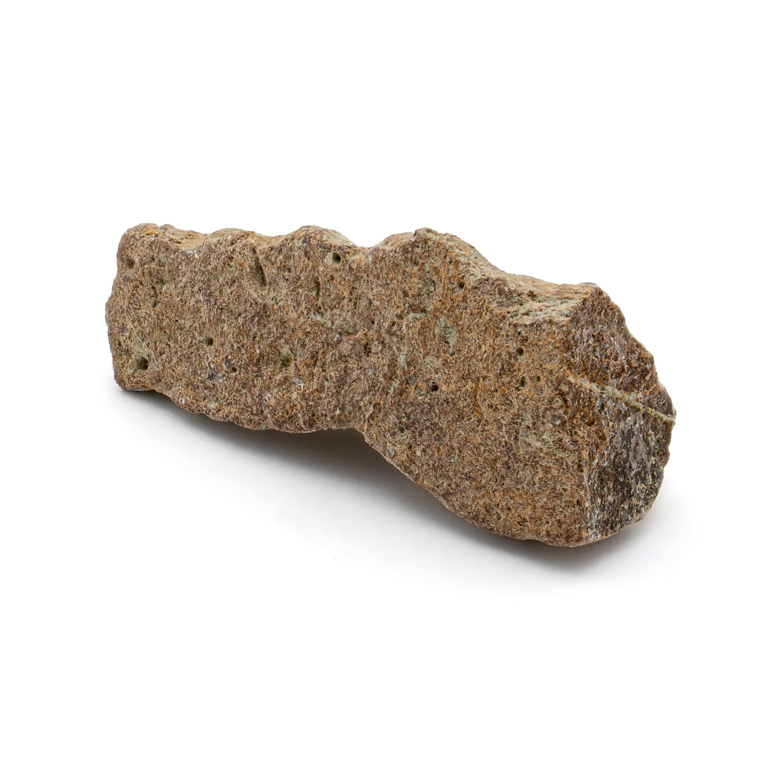 Kritosaurus Bone - 1.325" - Image 4