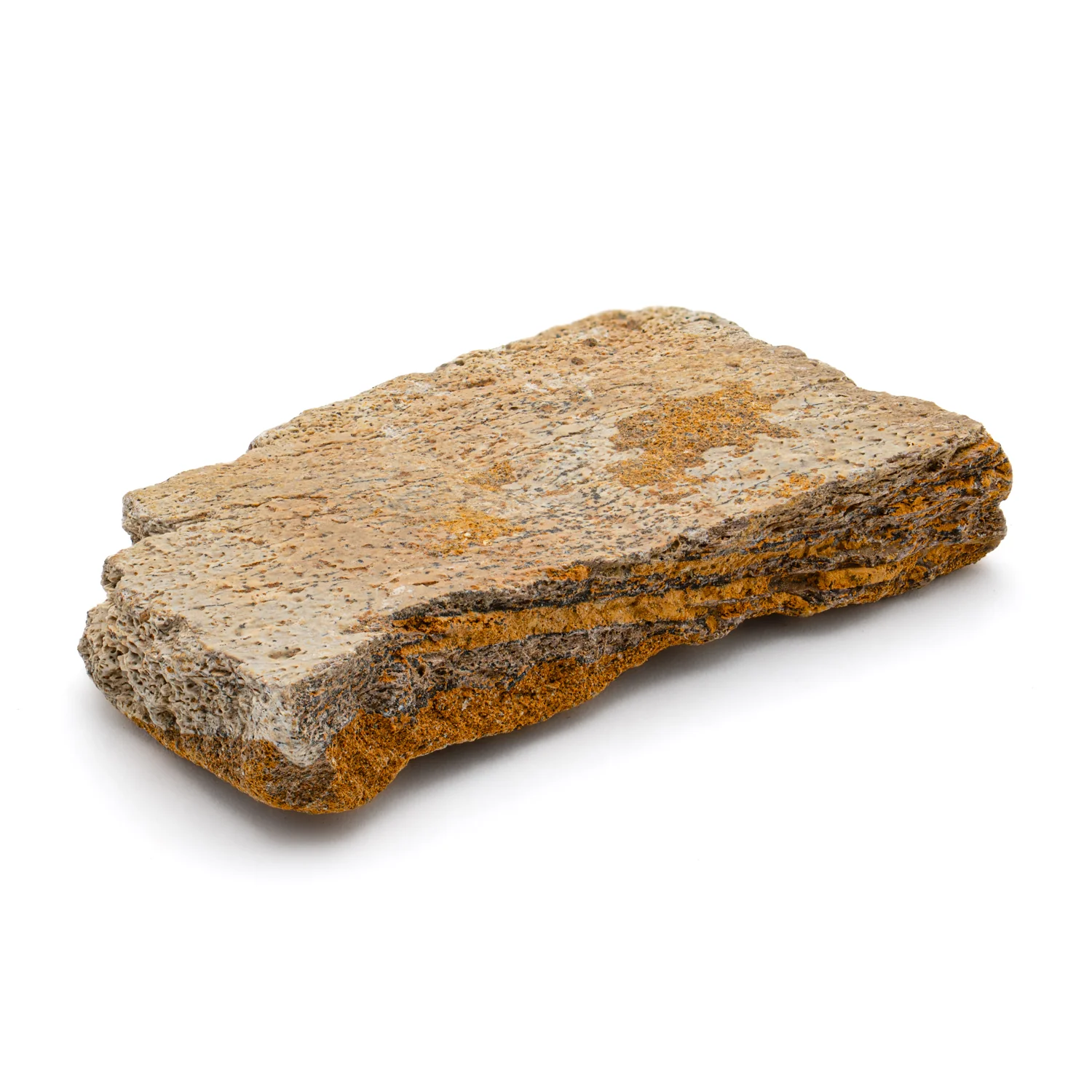 Kritosaurus Bone - 1.993" - Image 3