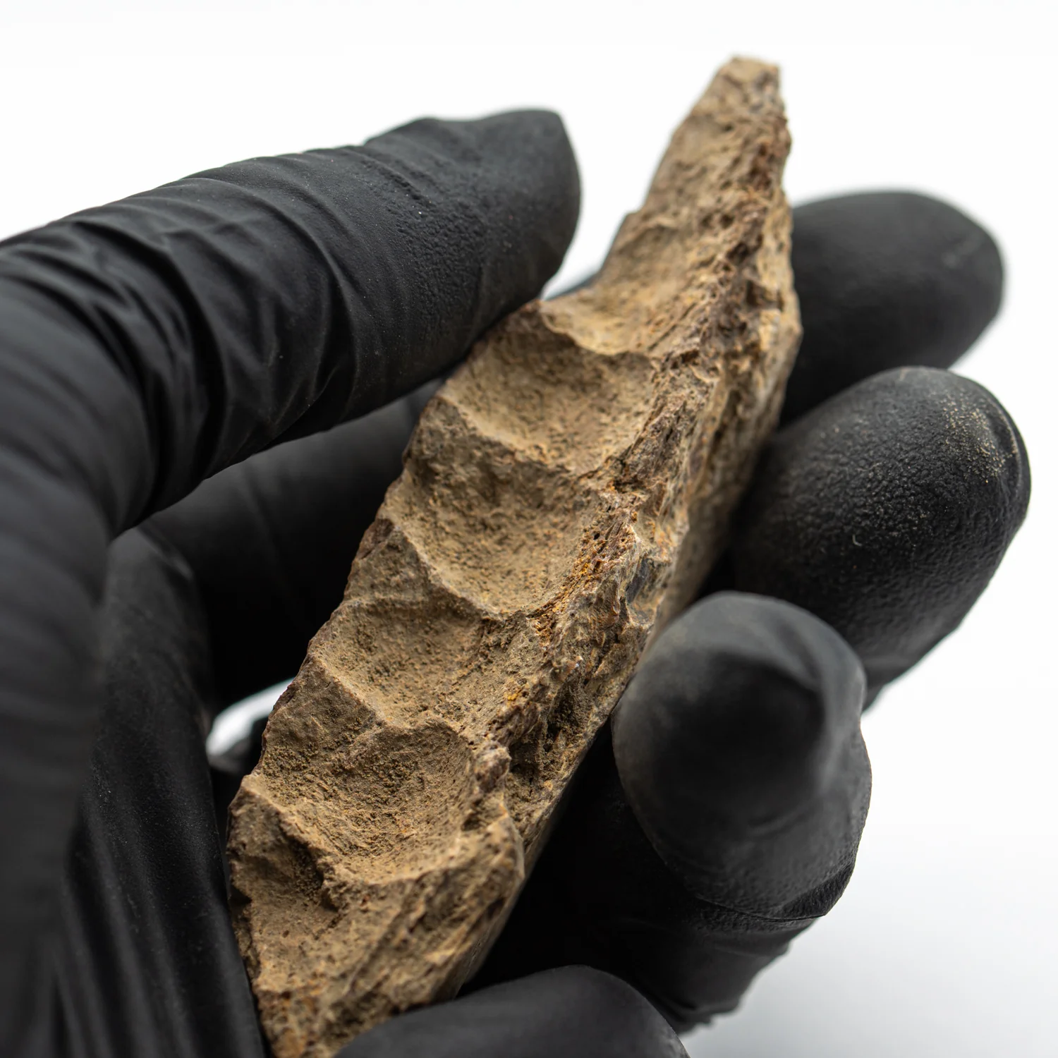 Kritosaurus Bone - 3.310" - Image 2