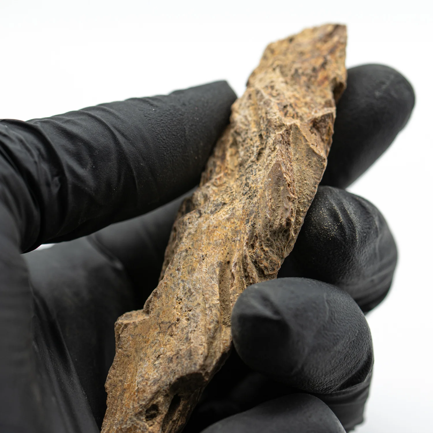 Kritosaurus Bone - 3.310" - Image 3