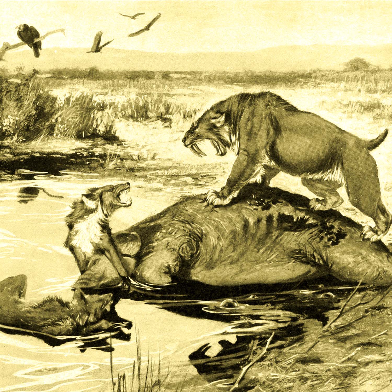 SOLD La Brea Tar Pit Showcase - Desert Cottontail - Fox/Bird - 6.00" - Image 3