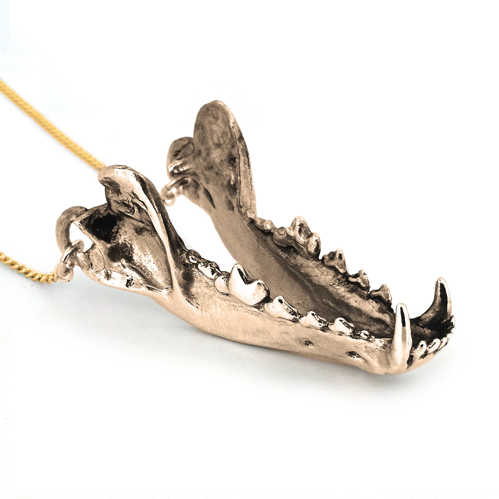 Large Dire Wolf Jaw Pendant - Image 2