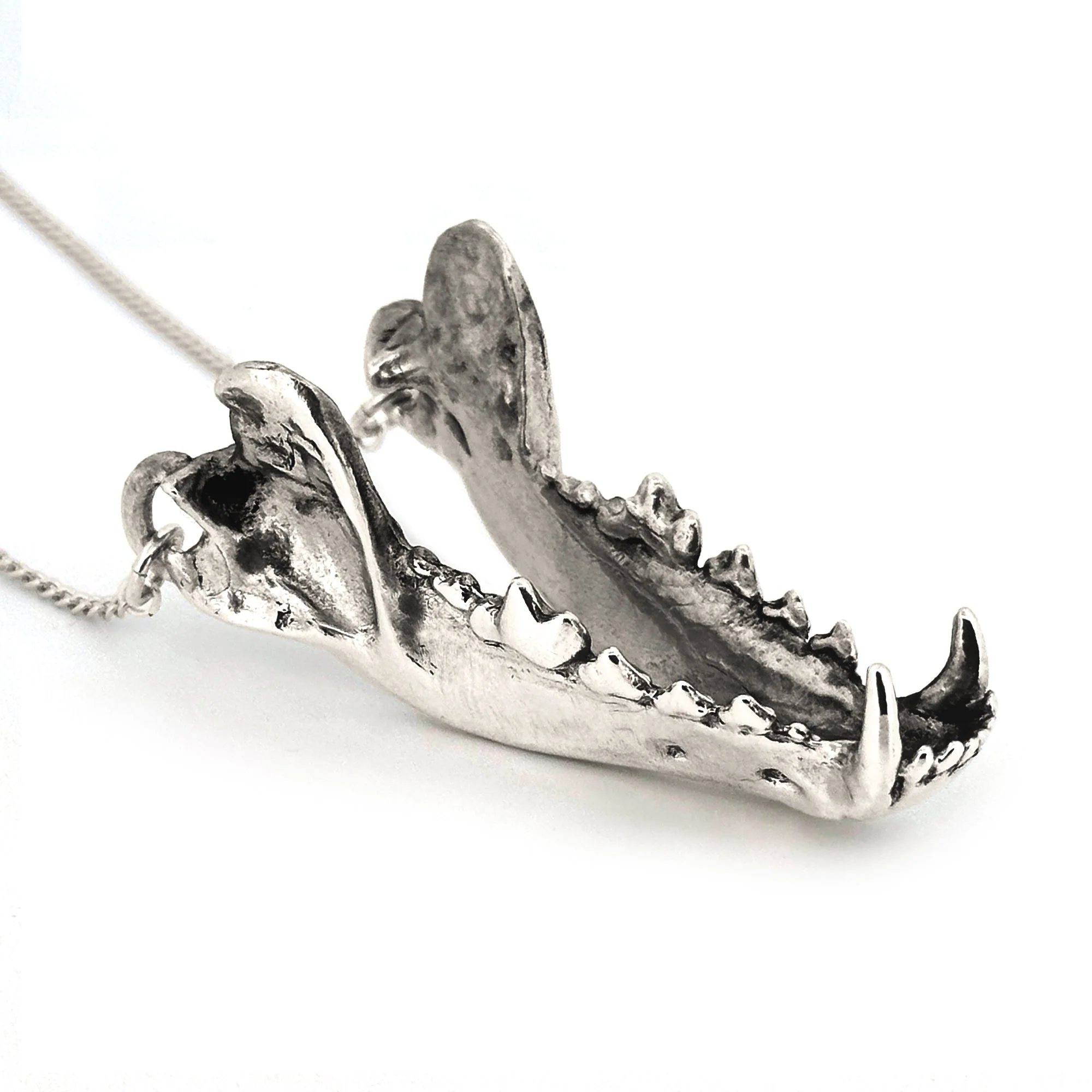 Large Dire Wolf Jaw Pendant - Image 3