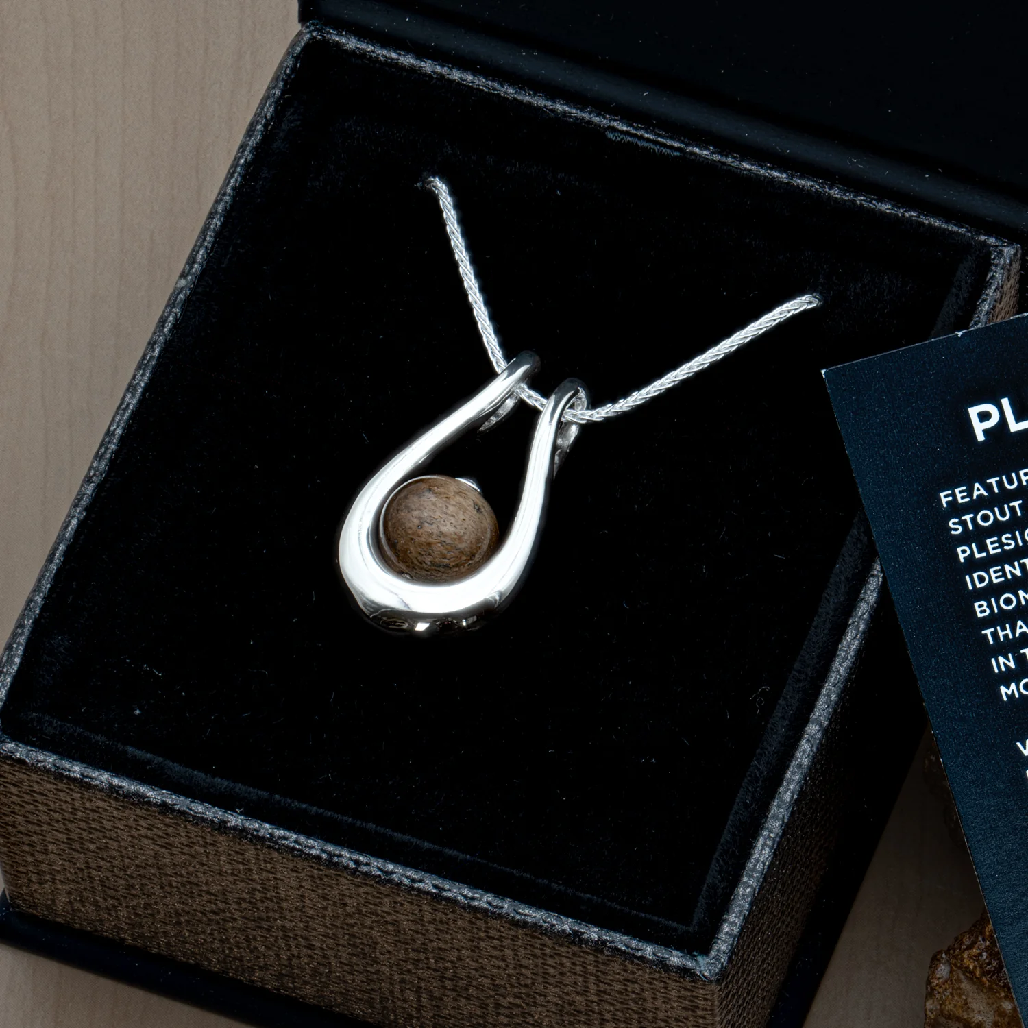 Limited Edition Plesiosaur Bone Pendant Necklace - Image 5