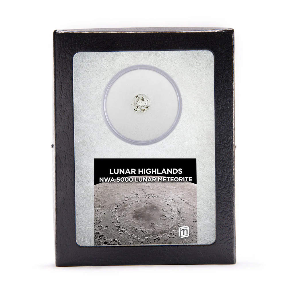 Lunar Highlands - Classic Riker Box Specimens - Image 2