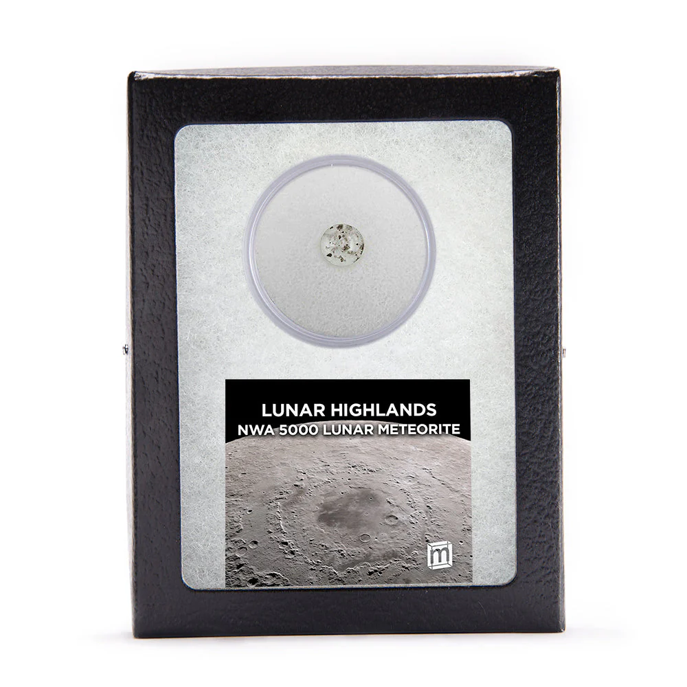 Lunar Highlands - Classic Riker Box Specimens - Image 3