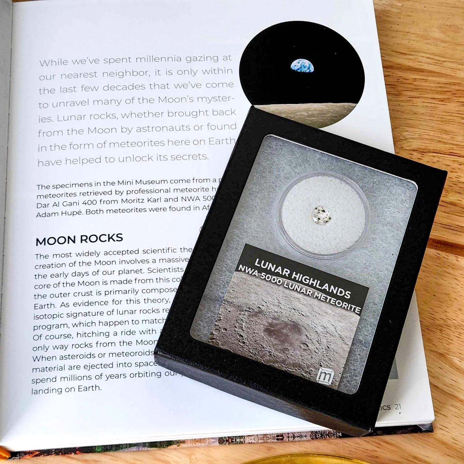 Lunar Highlands - Classic Riker Box Specimens - Image 5