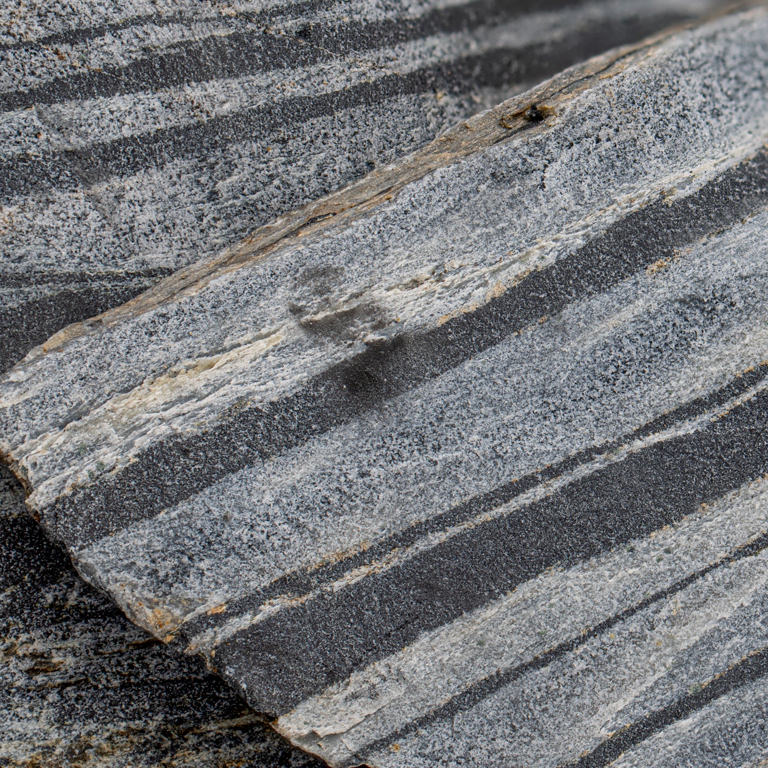 Magma Ocean - Isua Greenstone Belt - 3.6 Billion Years Old - Image 4