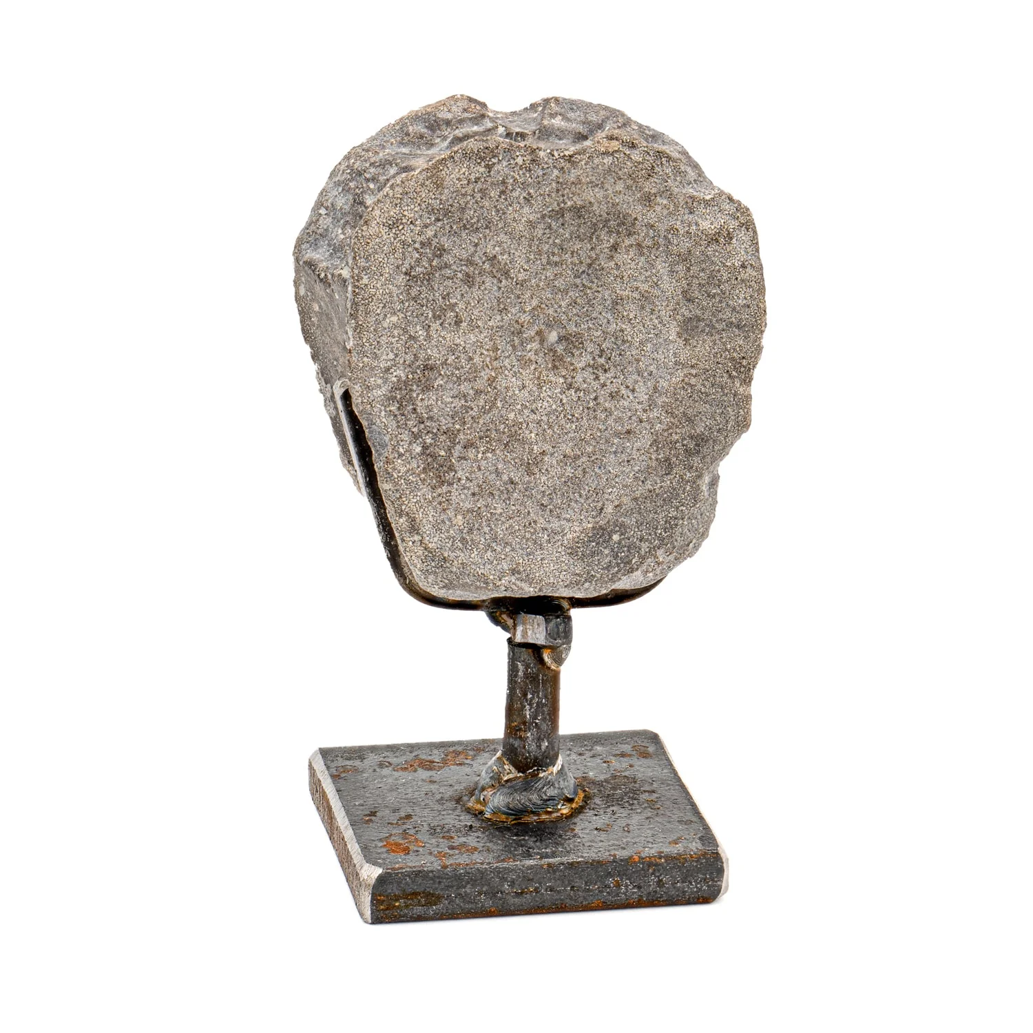 Maiasaura Vertebra - SOLD 1.91" Fossil with Stand - Image 3