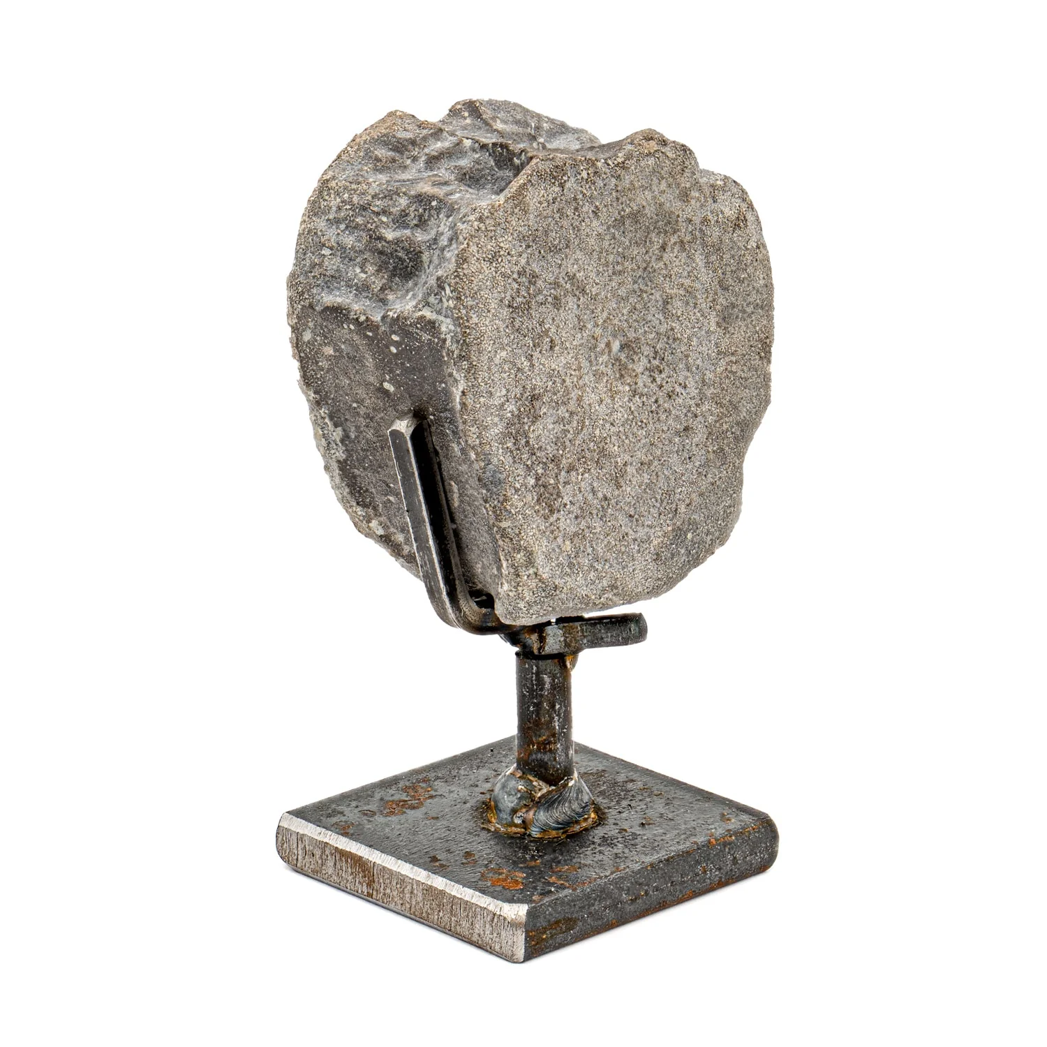 Maiasaura Vertebra - SOLD 1.91" Fossil with Stand - Image 4