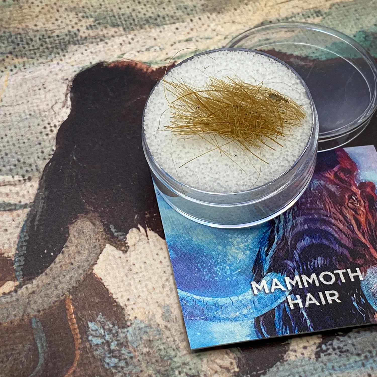Mammoth Hair - Image 2