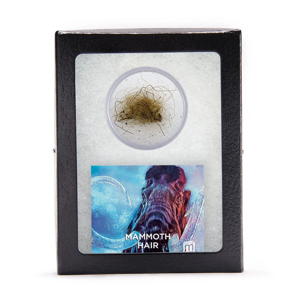 Mammoth Hair - Image 5